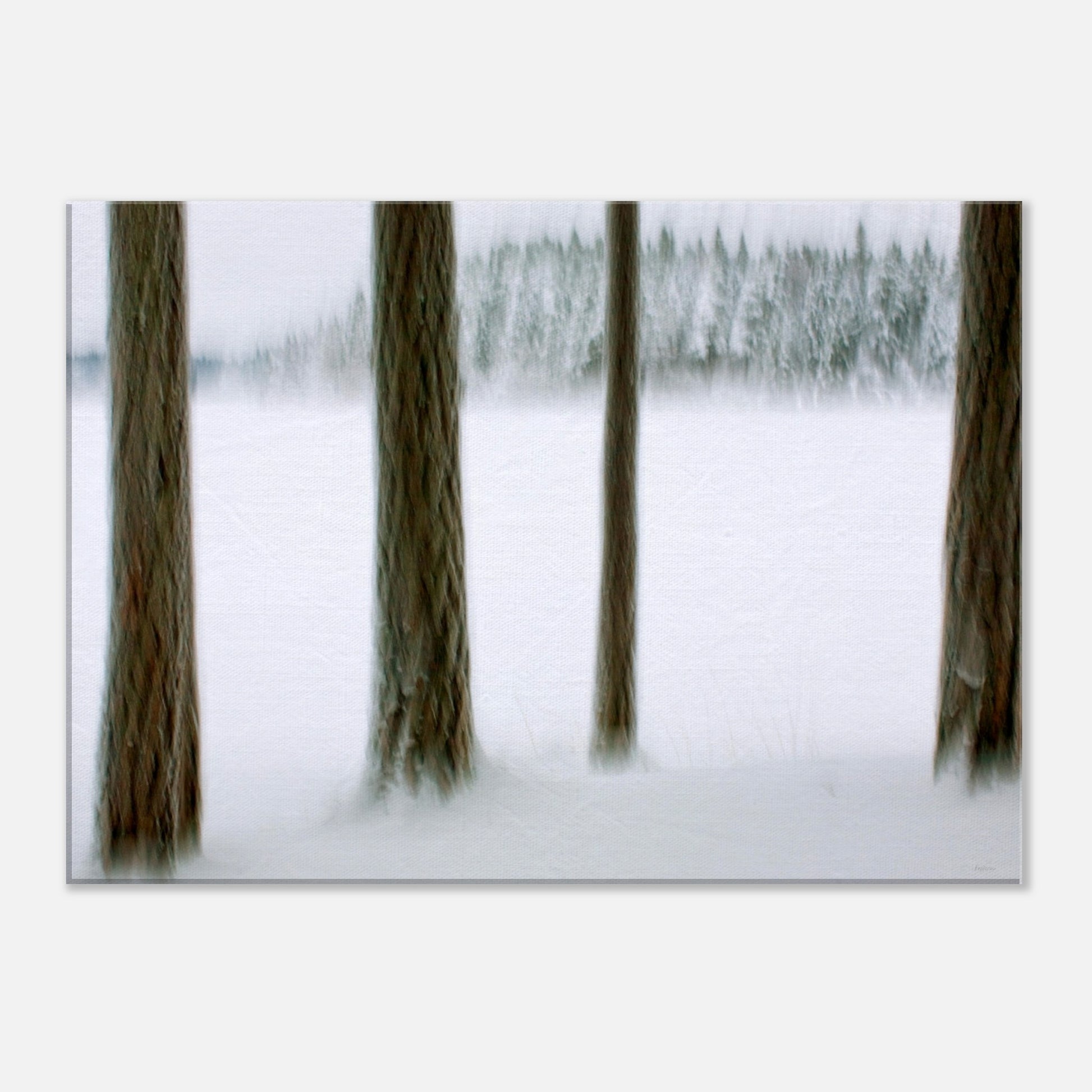 4108afb9-274d-4b53-9ddf-b89dd4009509