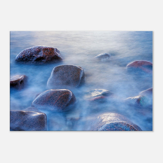 4171554d-13eb-4f7c-a529-721c61a3fa03