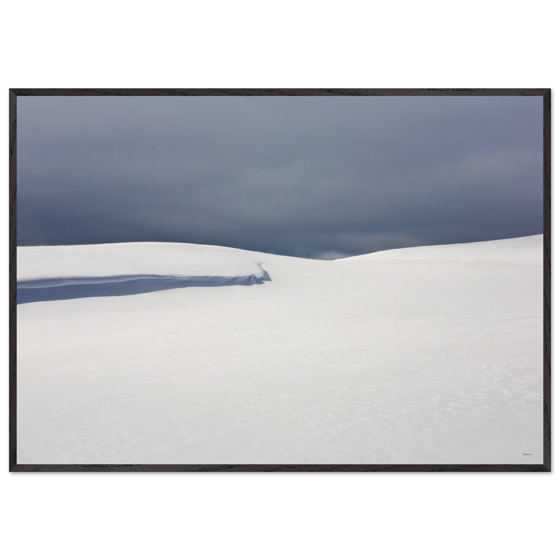 419b99ca-400d-4843-a9a5-3ea858168907