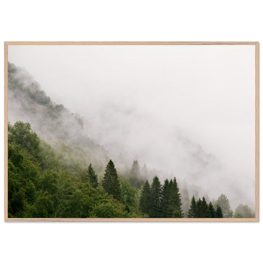 42ac7c67-60fc-4dfc-b7d0-850b8e90ee21