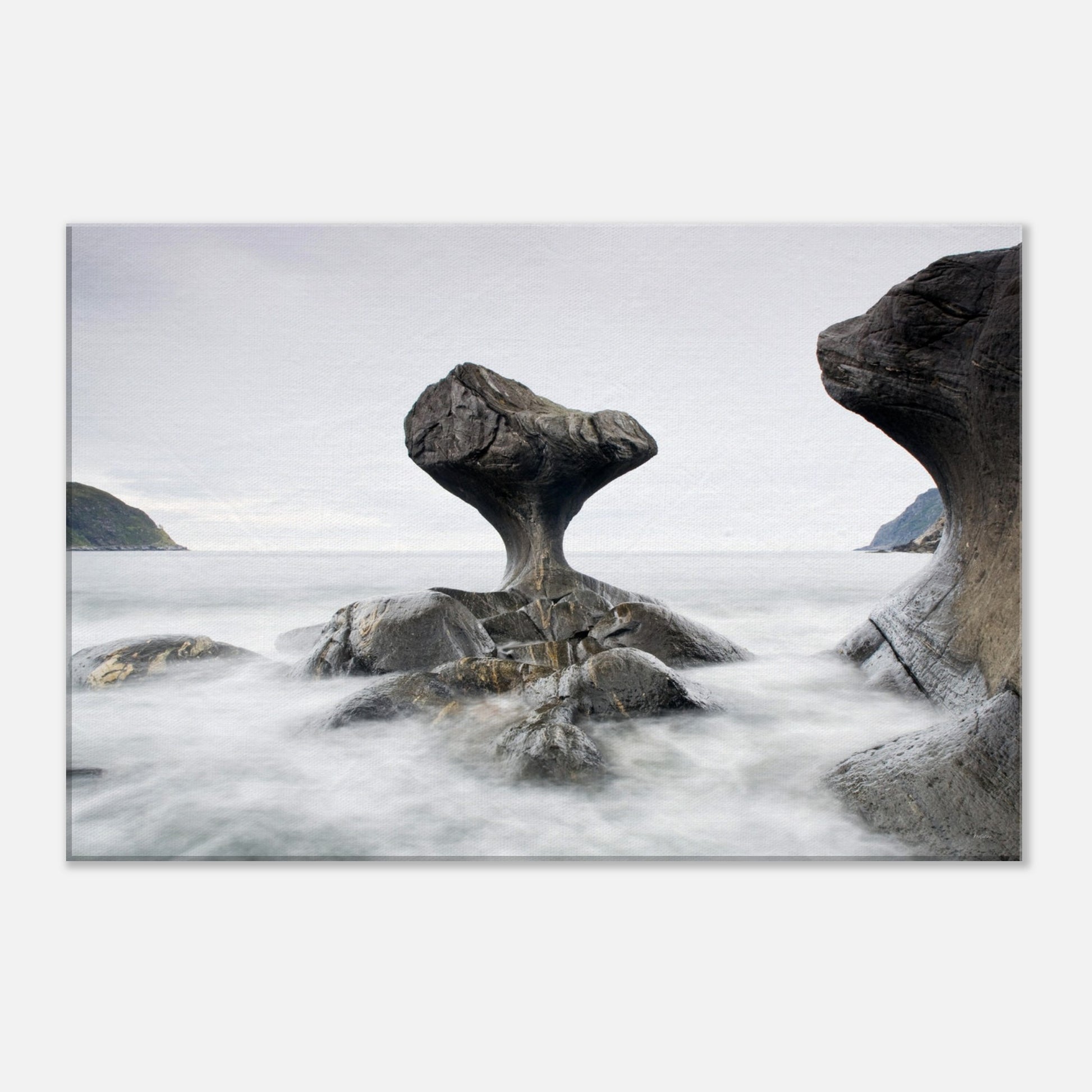 430b5e28-36ef-410c-a0ff-110026c711e7