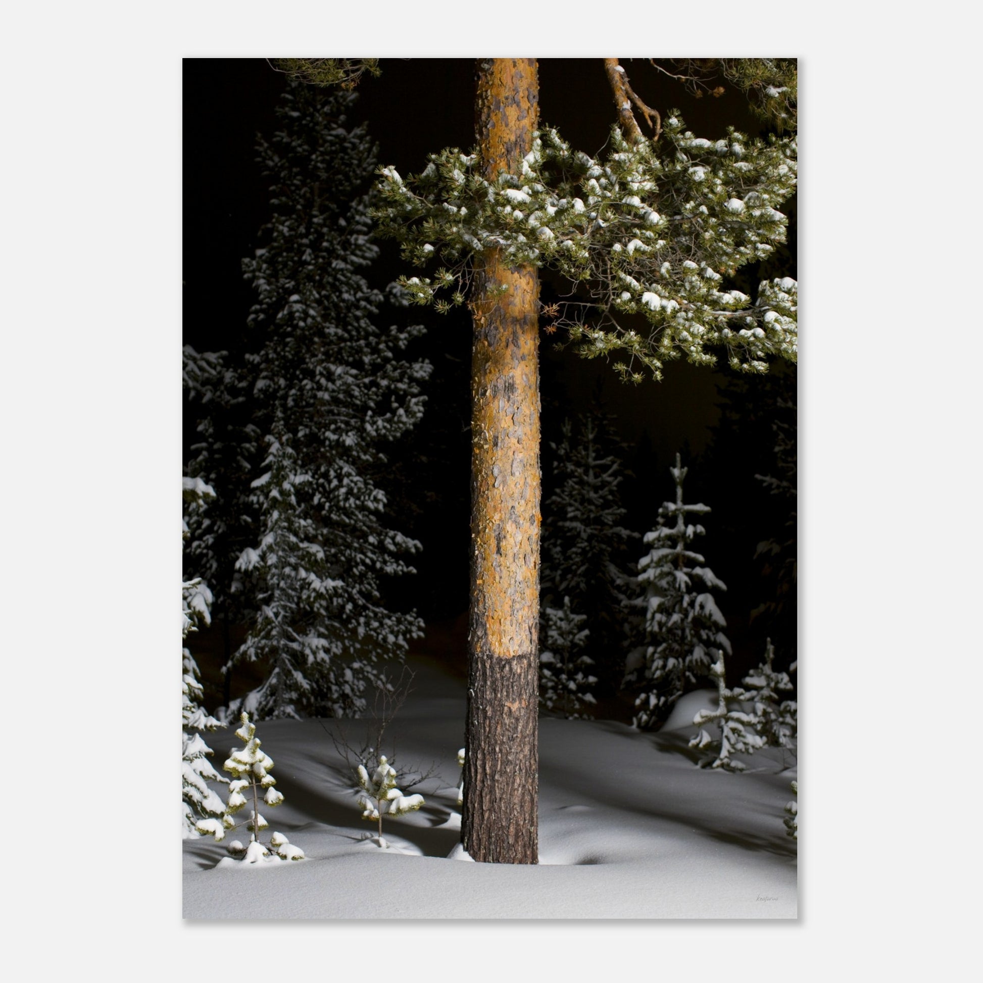 4384f614-b722-4053-8d6b-859f2425adb6