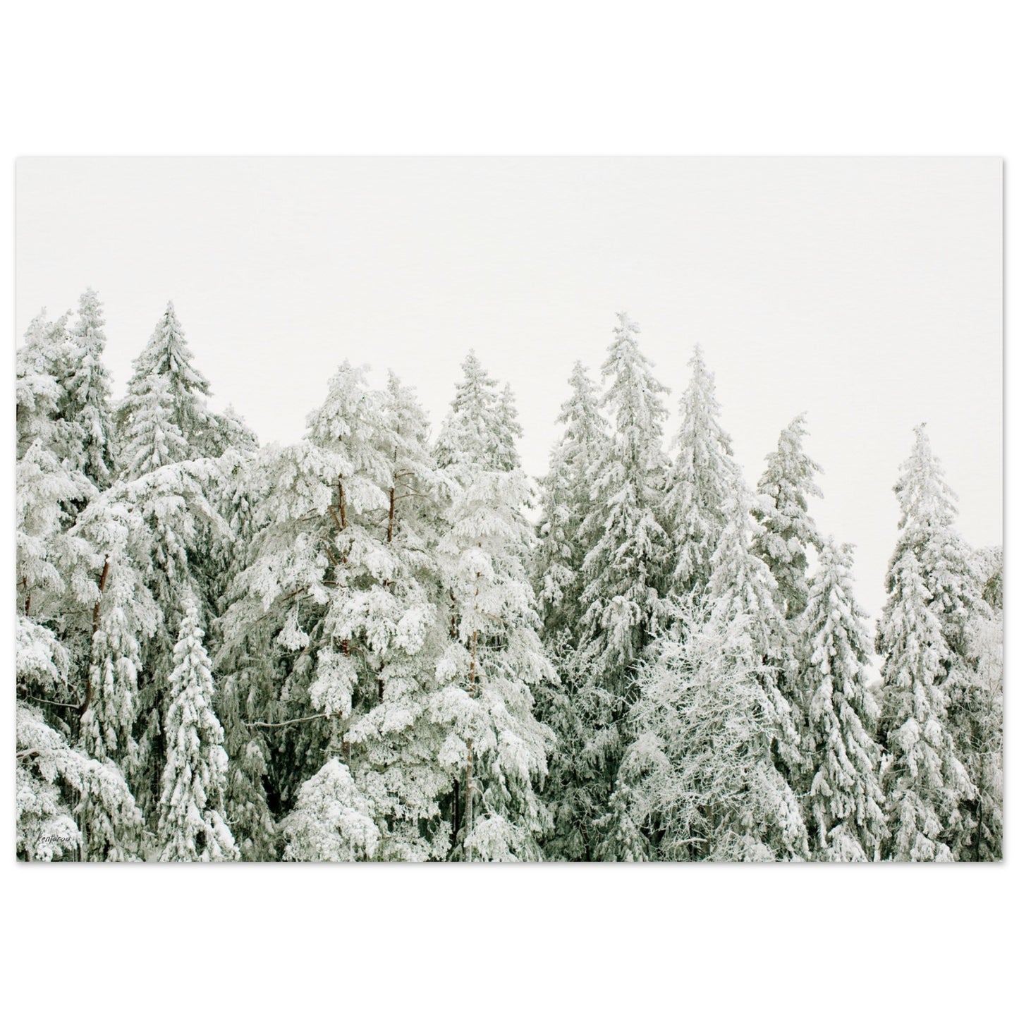 43e0977c-b8e5-4cea-8de9-d66bad368a1a