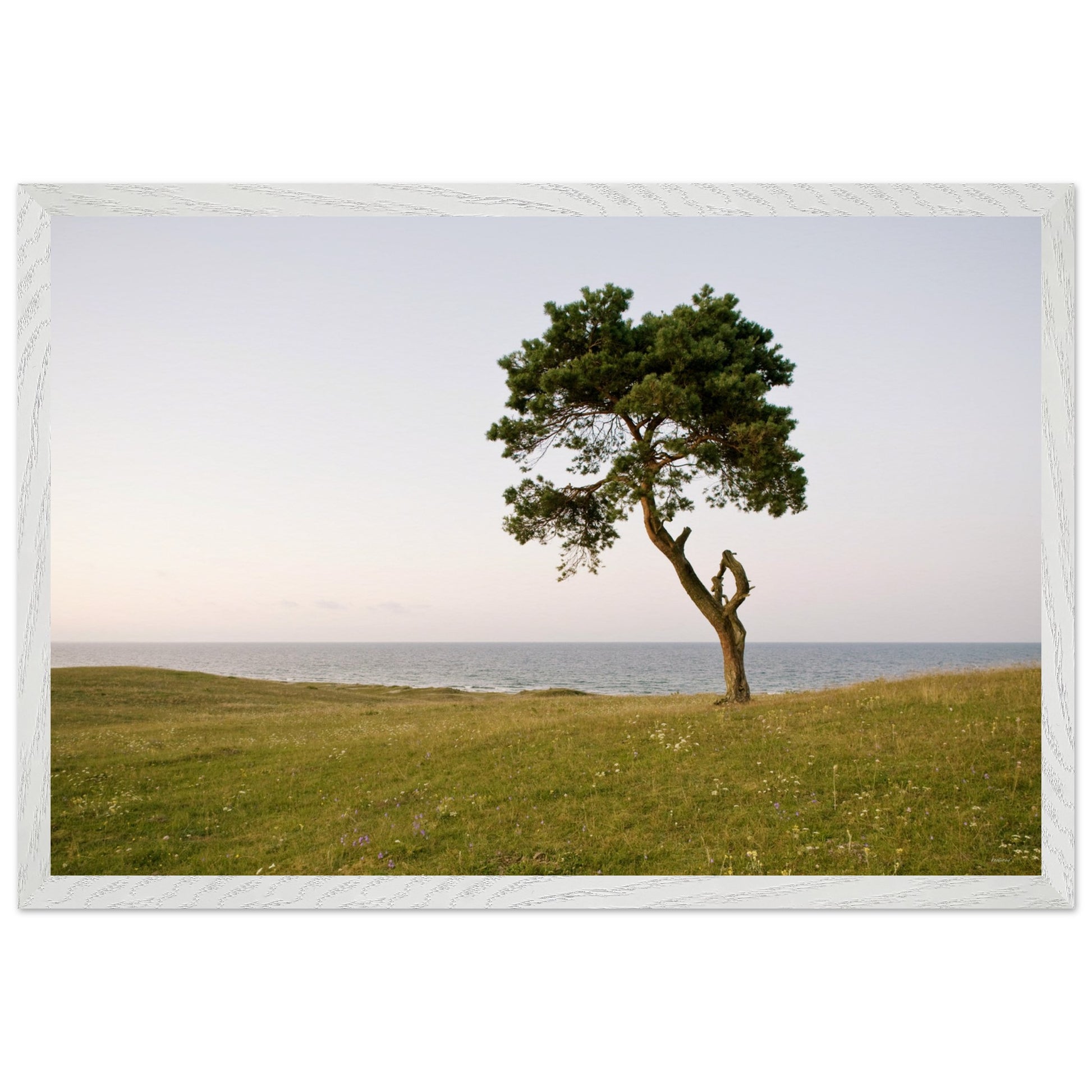 44595492-e45b-466e-8874-35825673d587