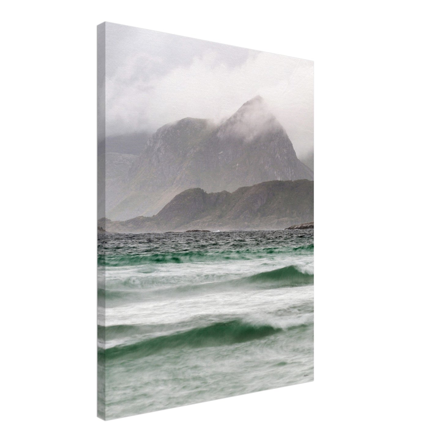 459499fe-0568-4507-8819-c8ff43325b88