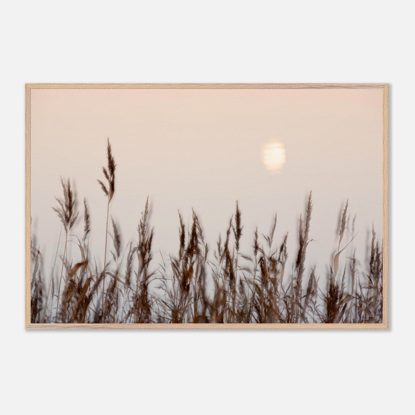 47c0a985-5f60-48d2-b475-ae852d22cde4