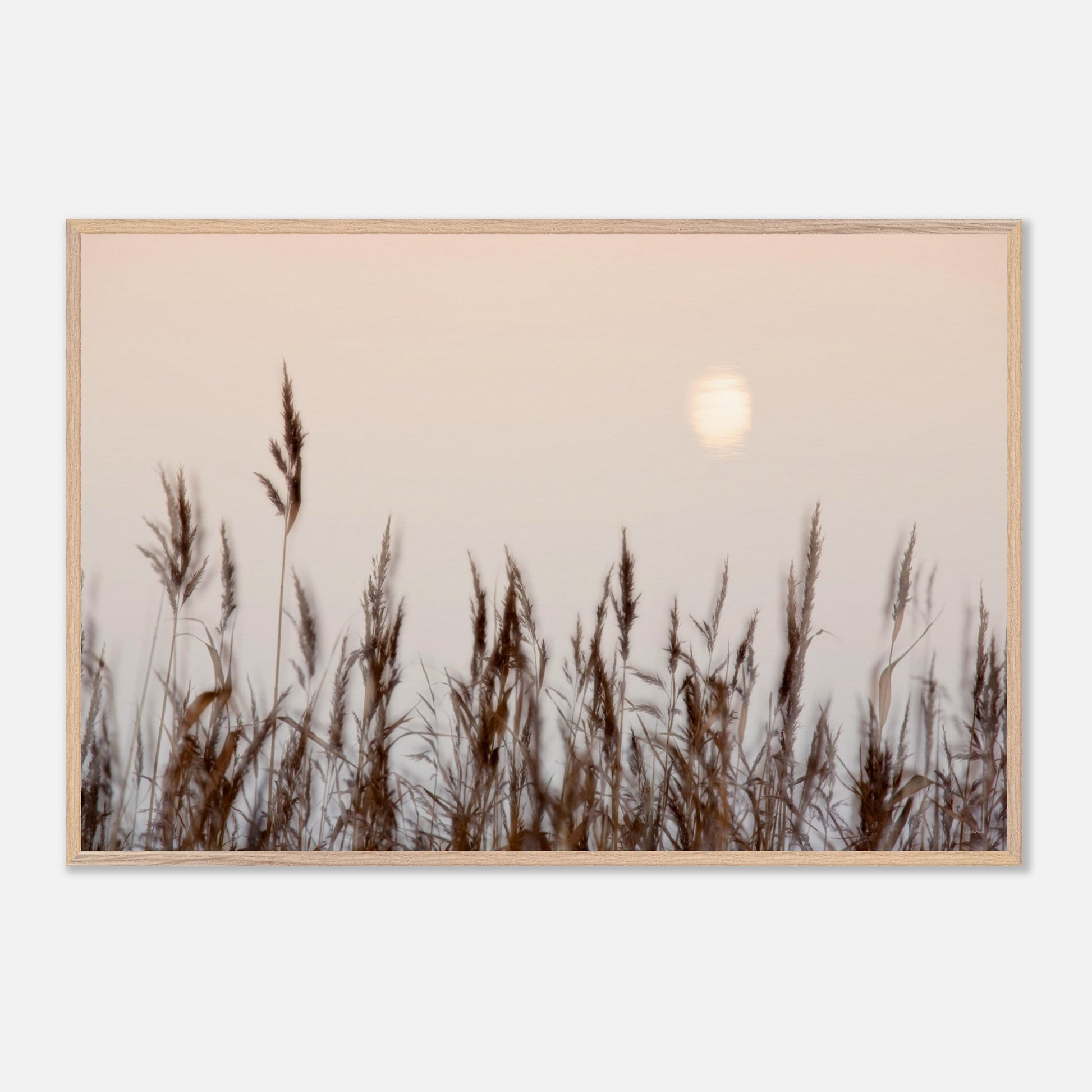 47c0a985-5f60-48d2-b475-ae852d22cde4