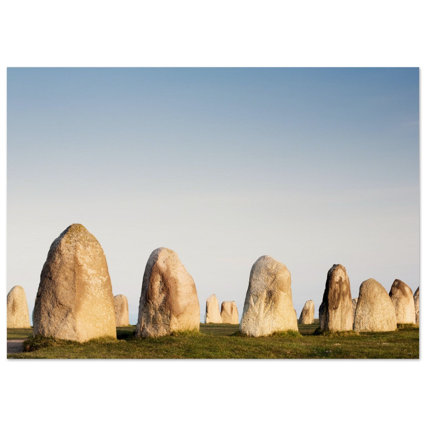 47f47a70-355e-445b-966d-298e09a76df9