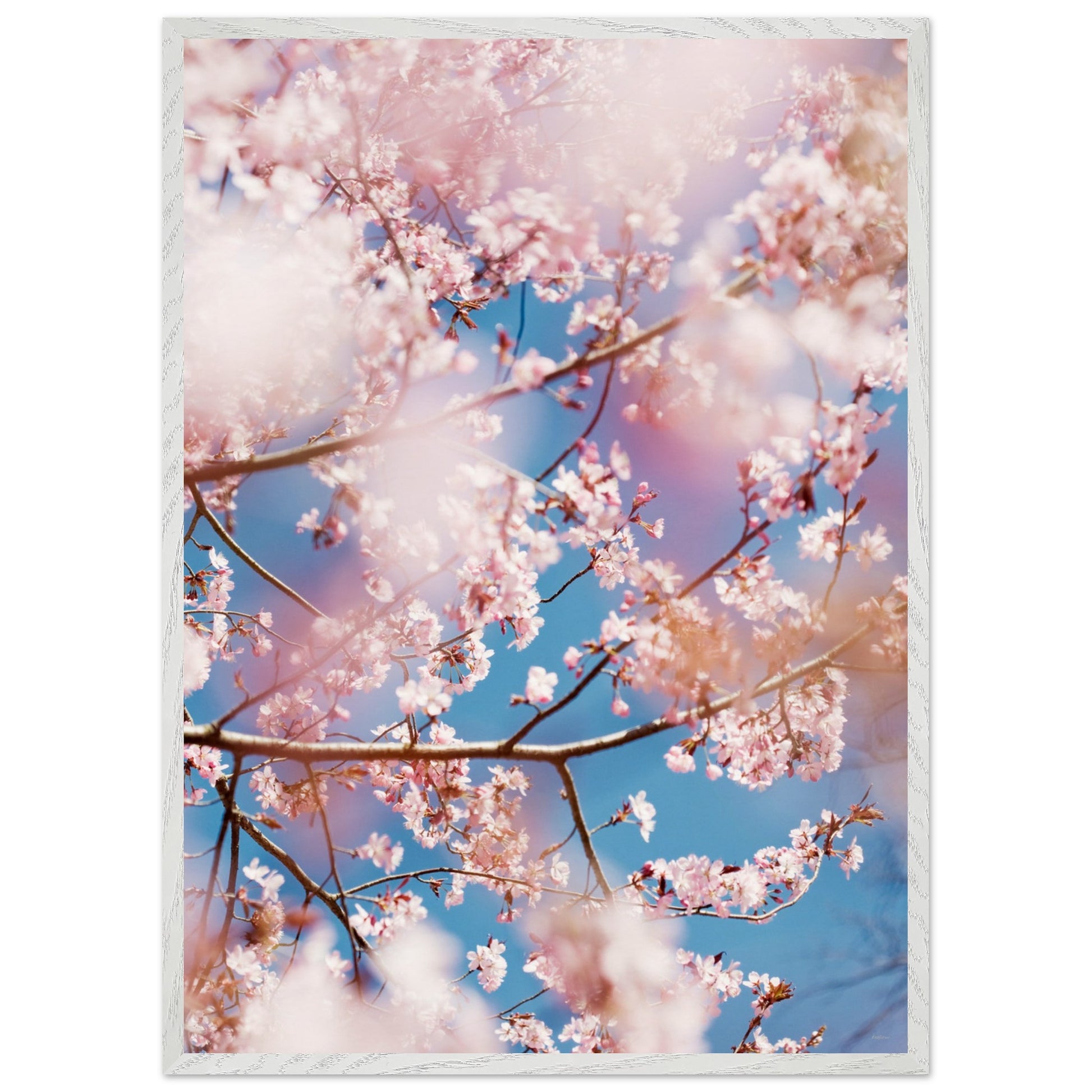 481c6829-7666-4565-88e2-4d87c8e01318