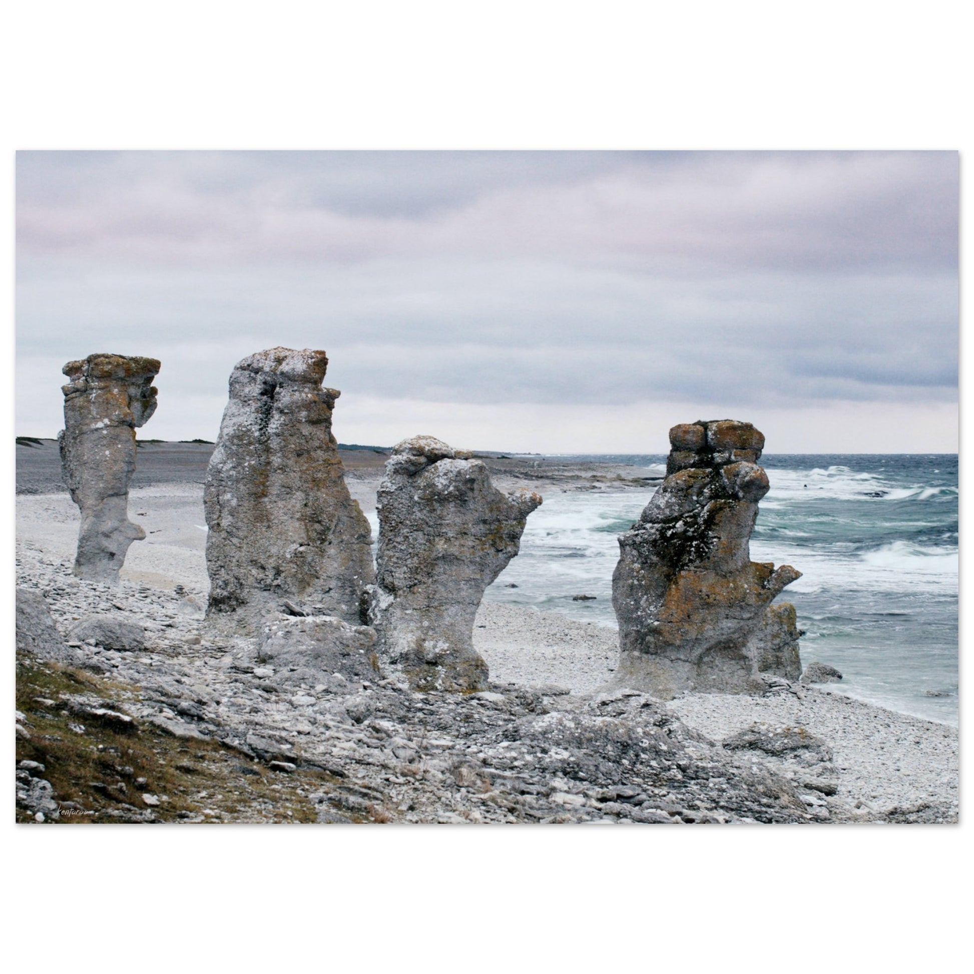 48ca9b7e-c9bb-40f6-9412-58bdd5ccc2eb