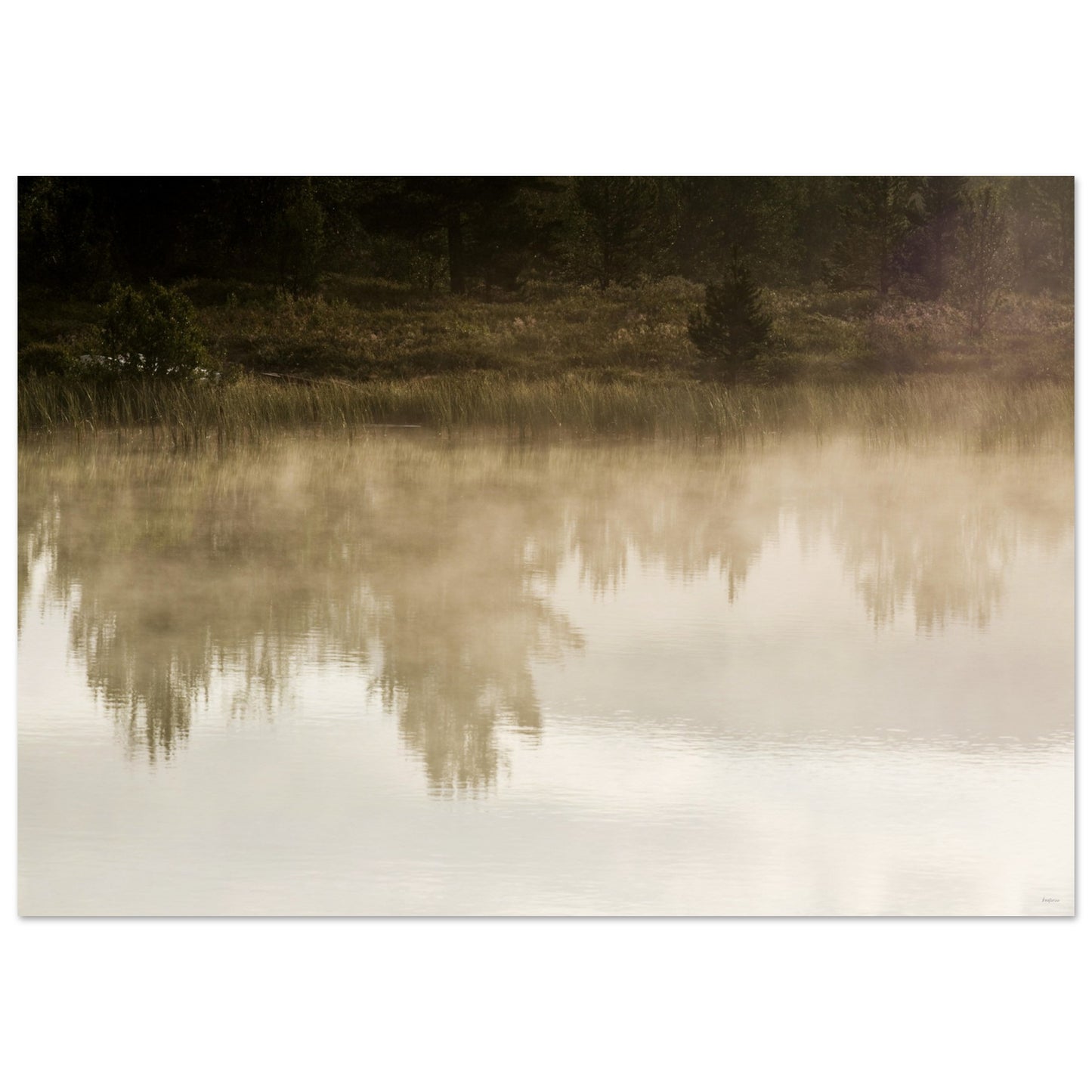 49517268-603d-4f54-8307-ab53088b0bf8