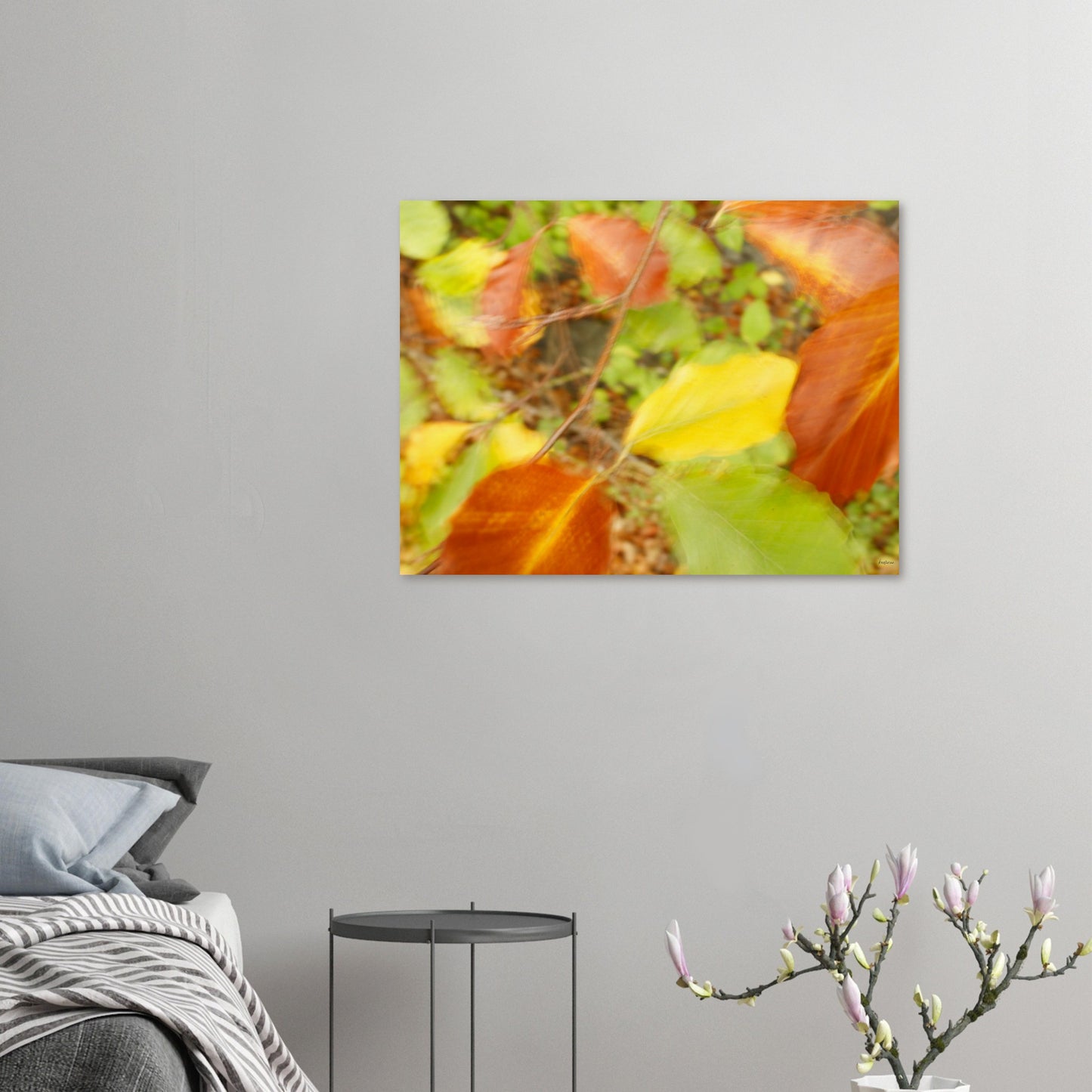 49954245-ecdf-4114-aa79-1800c44f49e8