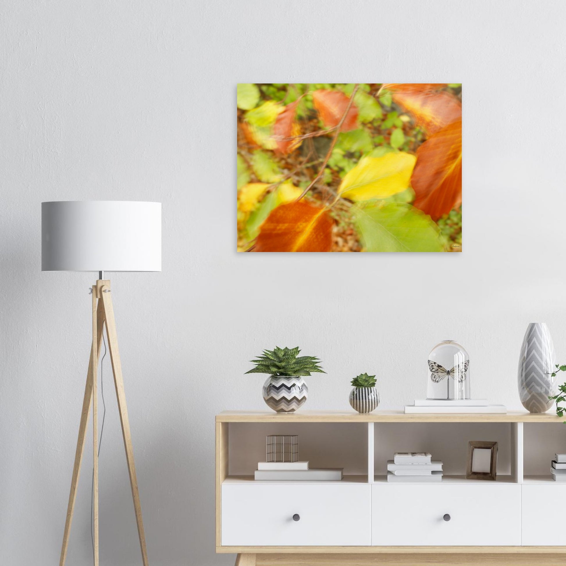 49a4b98b-c2a6-4b69-abbe-2924257a5234