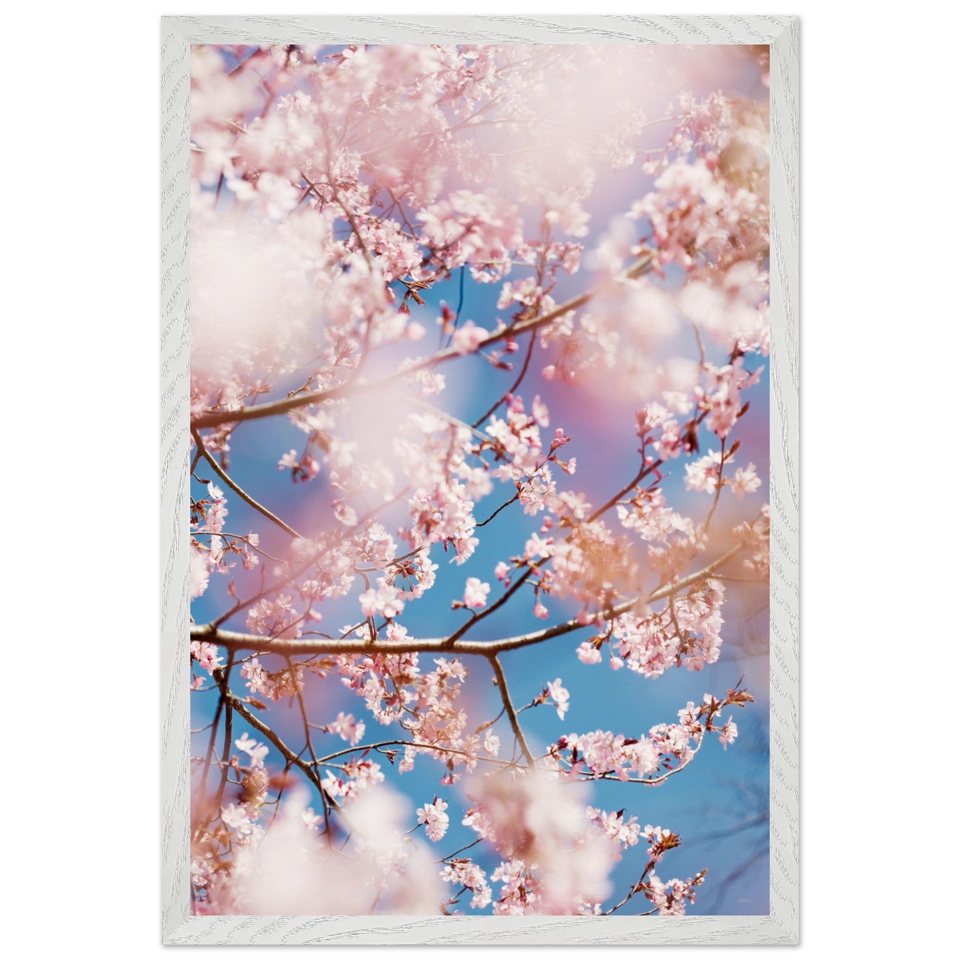 4a4ea94c-d4fe-4c5f-a292-d8f01b389734