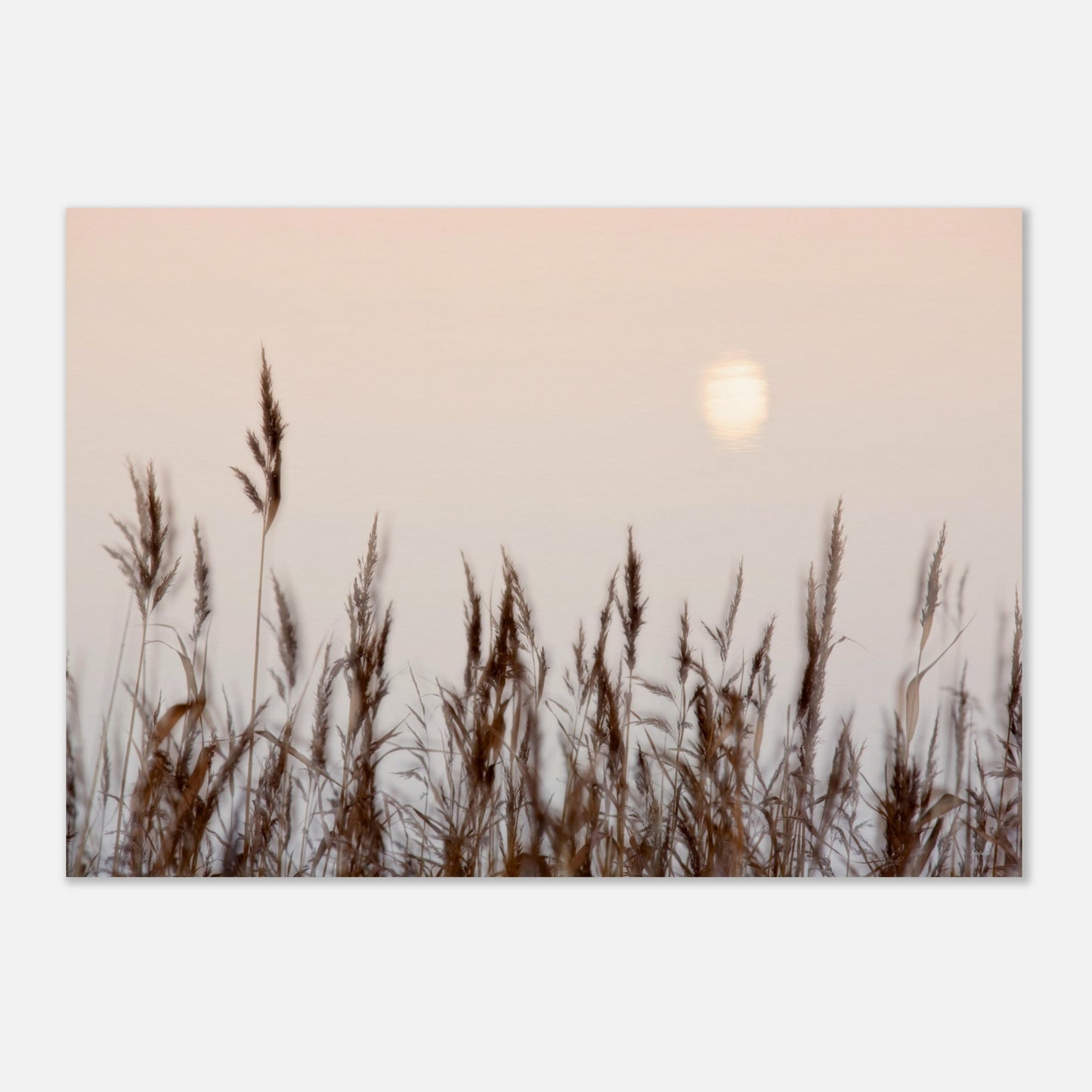 4a61ce72-37b1-451f-bc4c-c27af0e8af3d