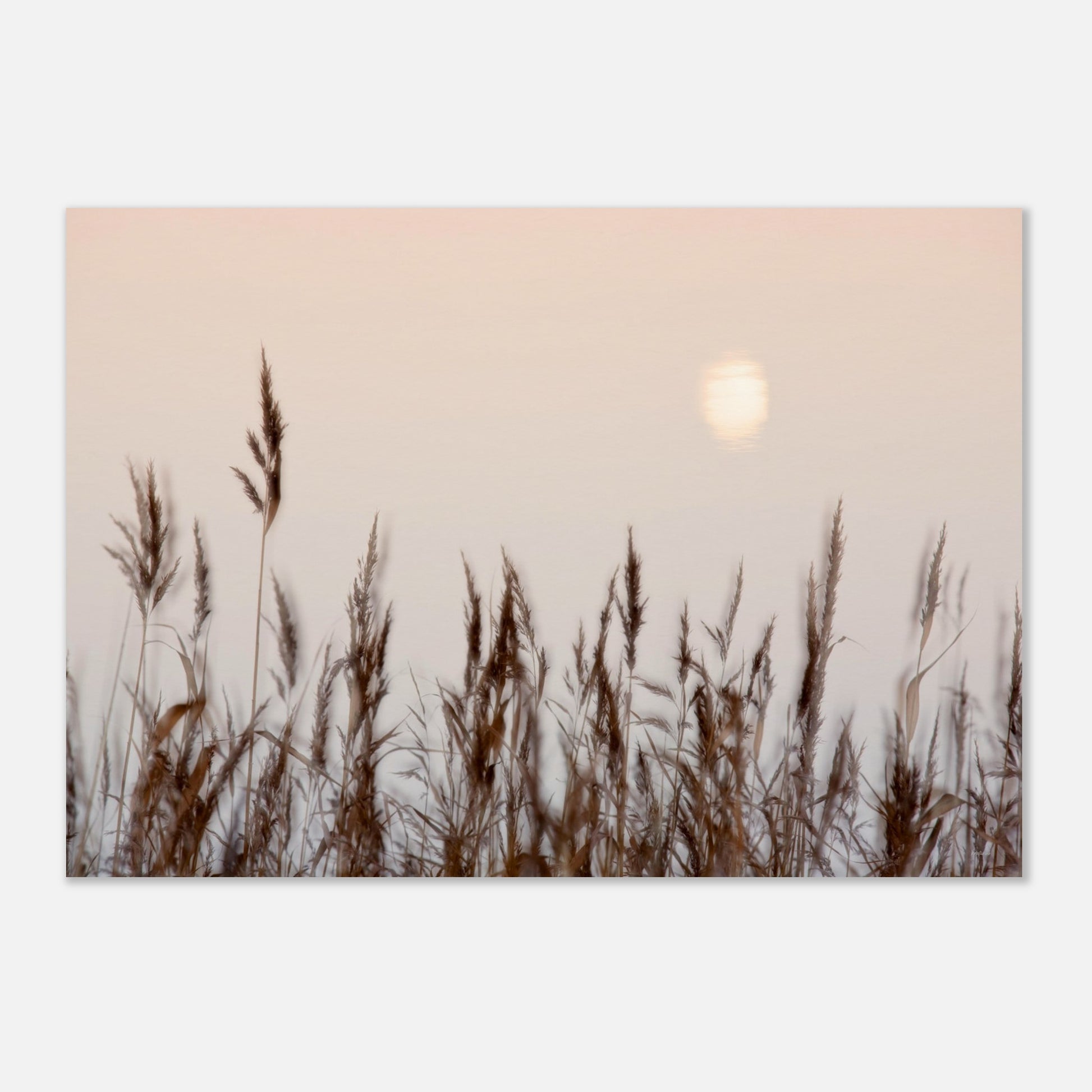 4a61ce72-37b1-451f-bc4c-c27af0e8af3d