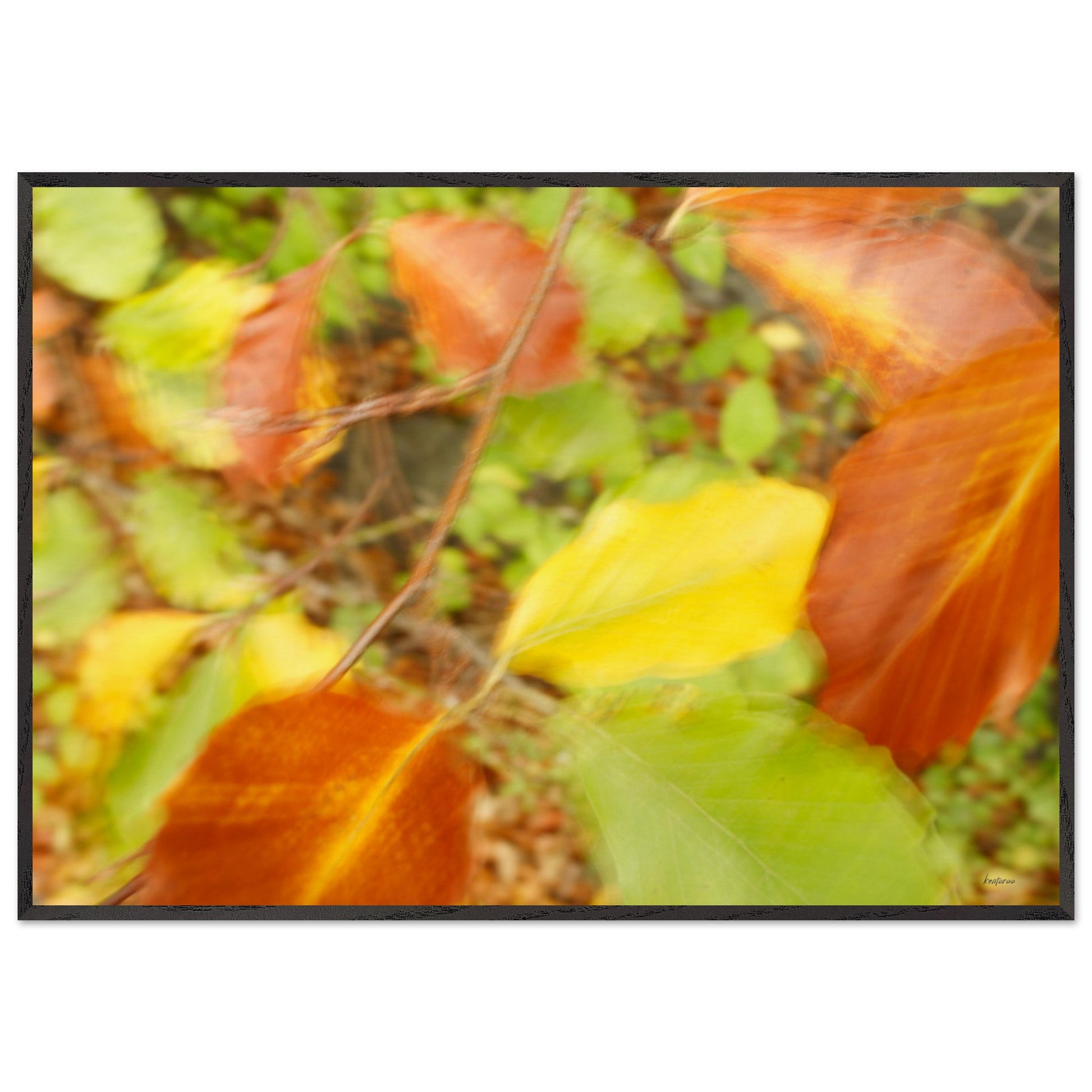 4aedf8dc-2724-4435-a343-46d234a7bfd6