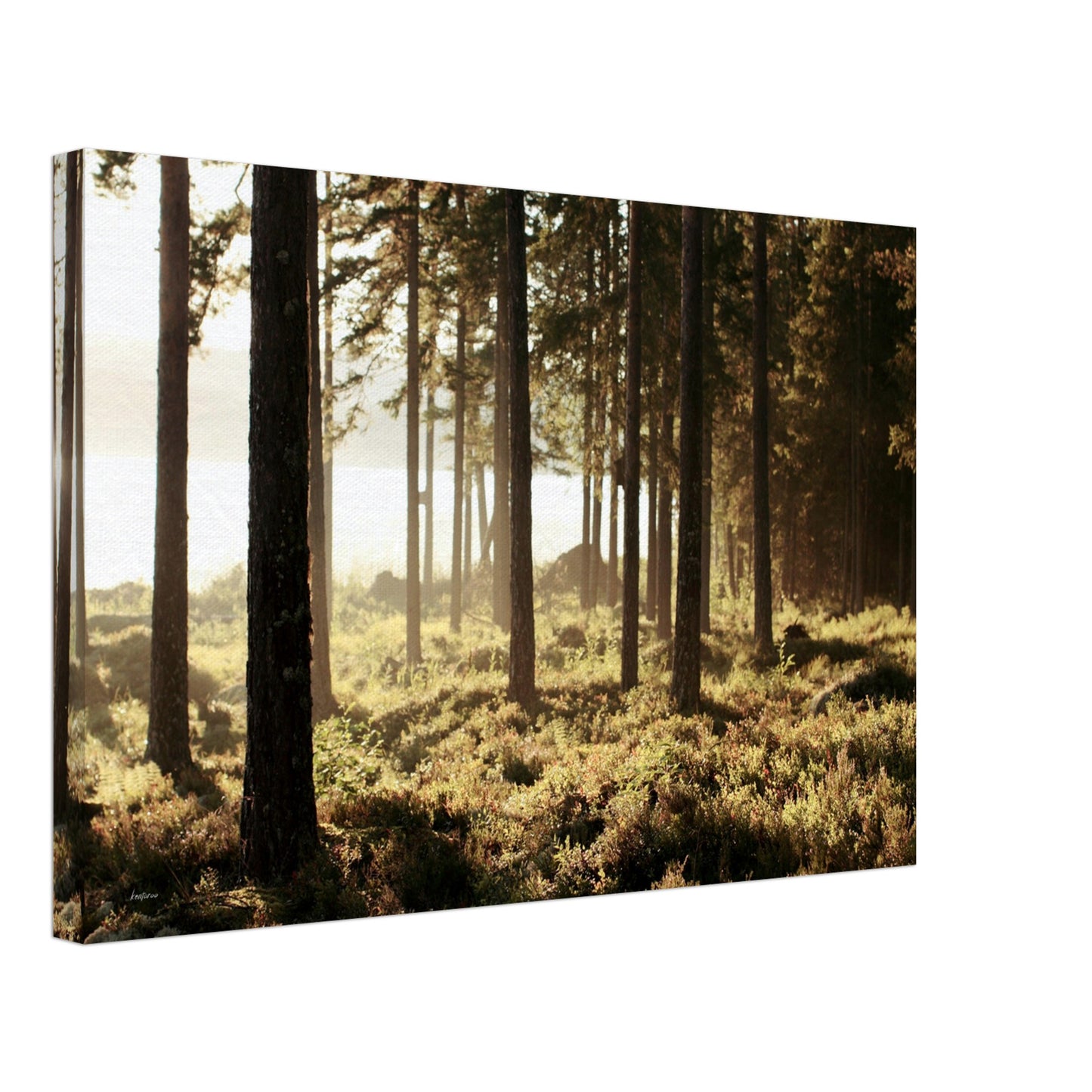 4ea98ac8-4eeb-42ec-bf16-f01eb65bd9af