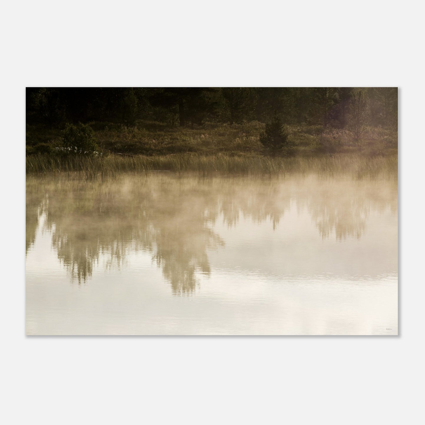 4eea8d26-53e3-453d-9796-5c8f0b2ed886