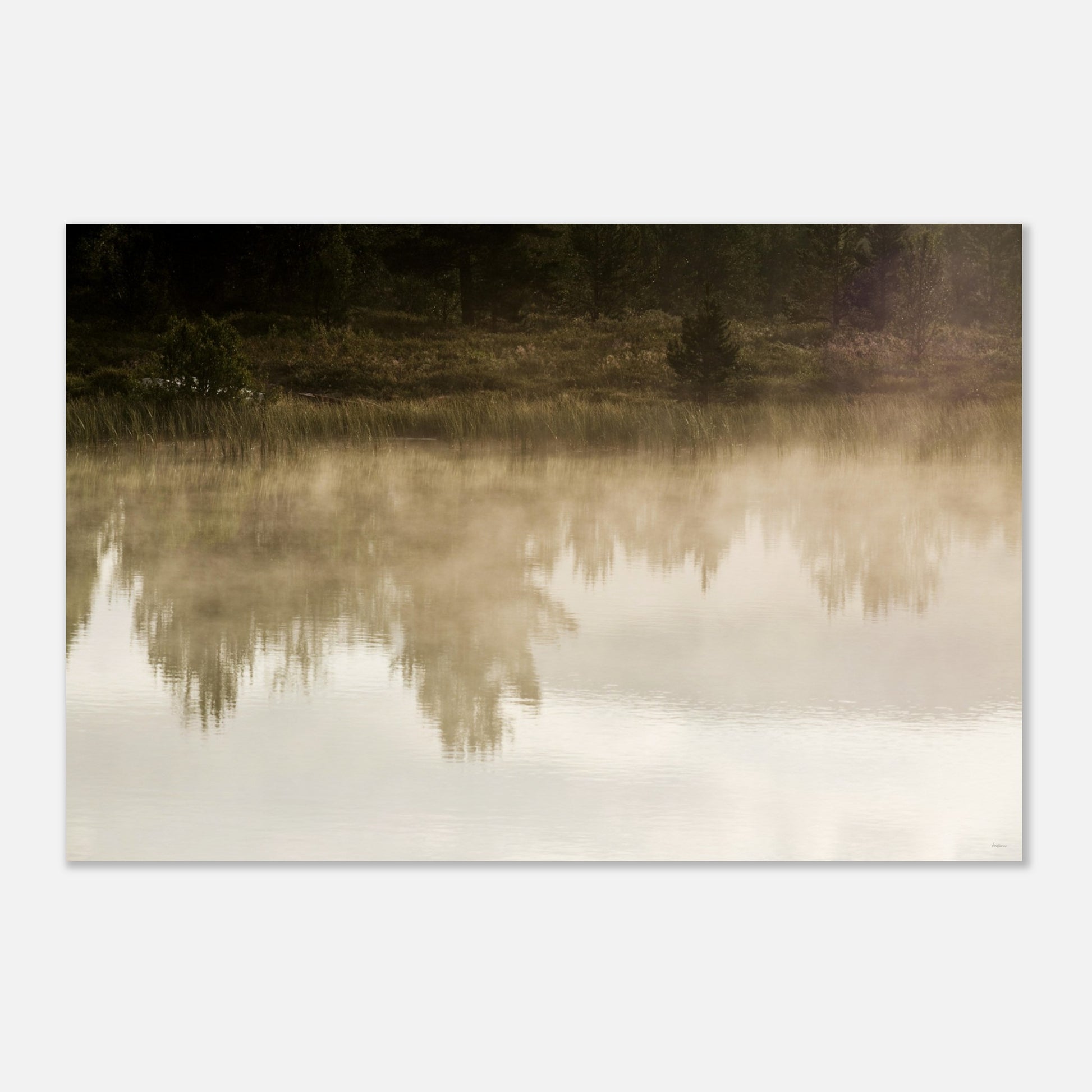 4eea8d26-53e3-453d-9796-5c8f0b2ed886