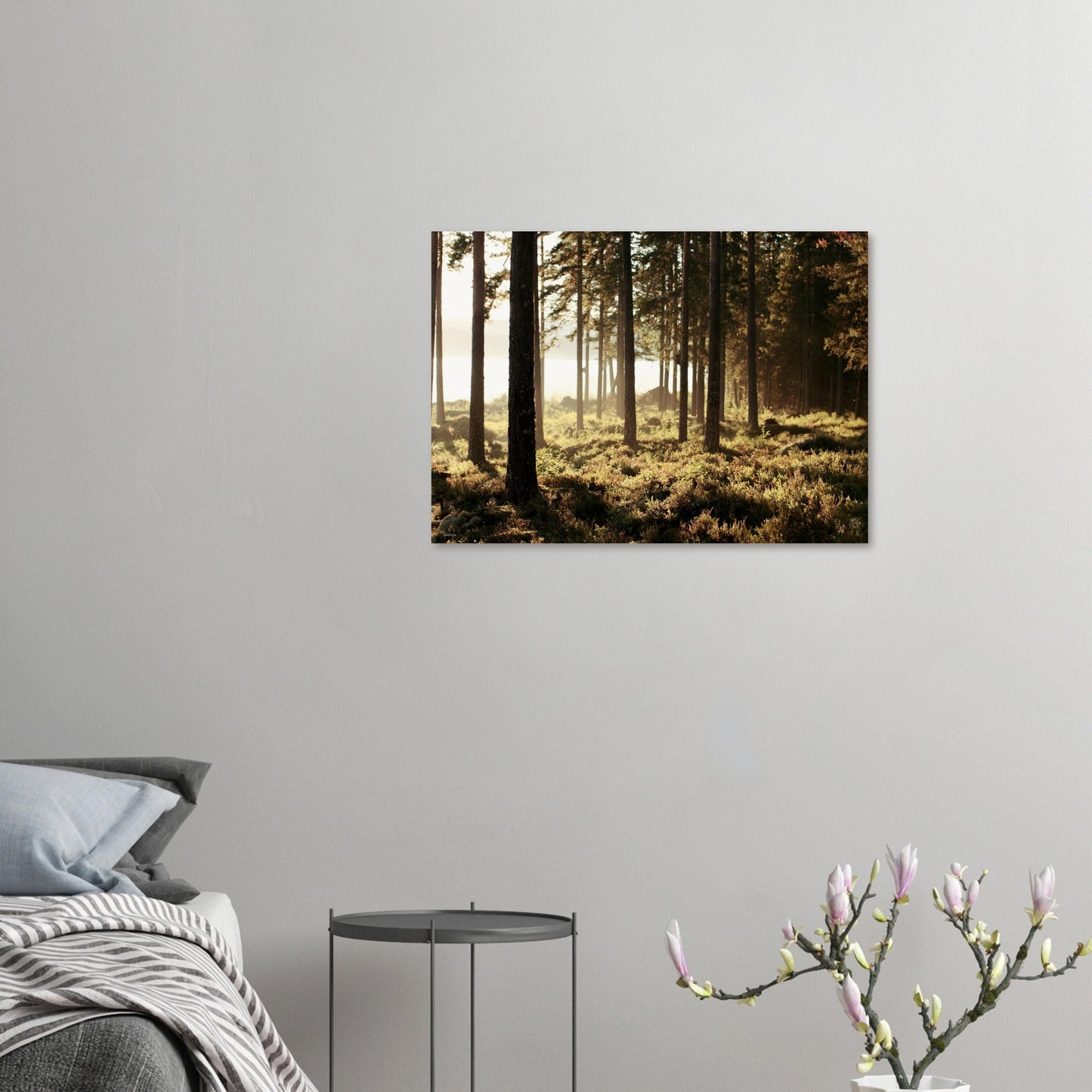 4f1e2fd0-40ba-4a17-9e66-e2b429a809d1