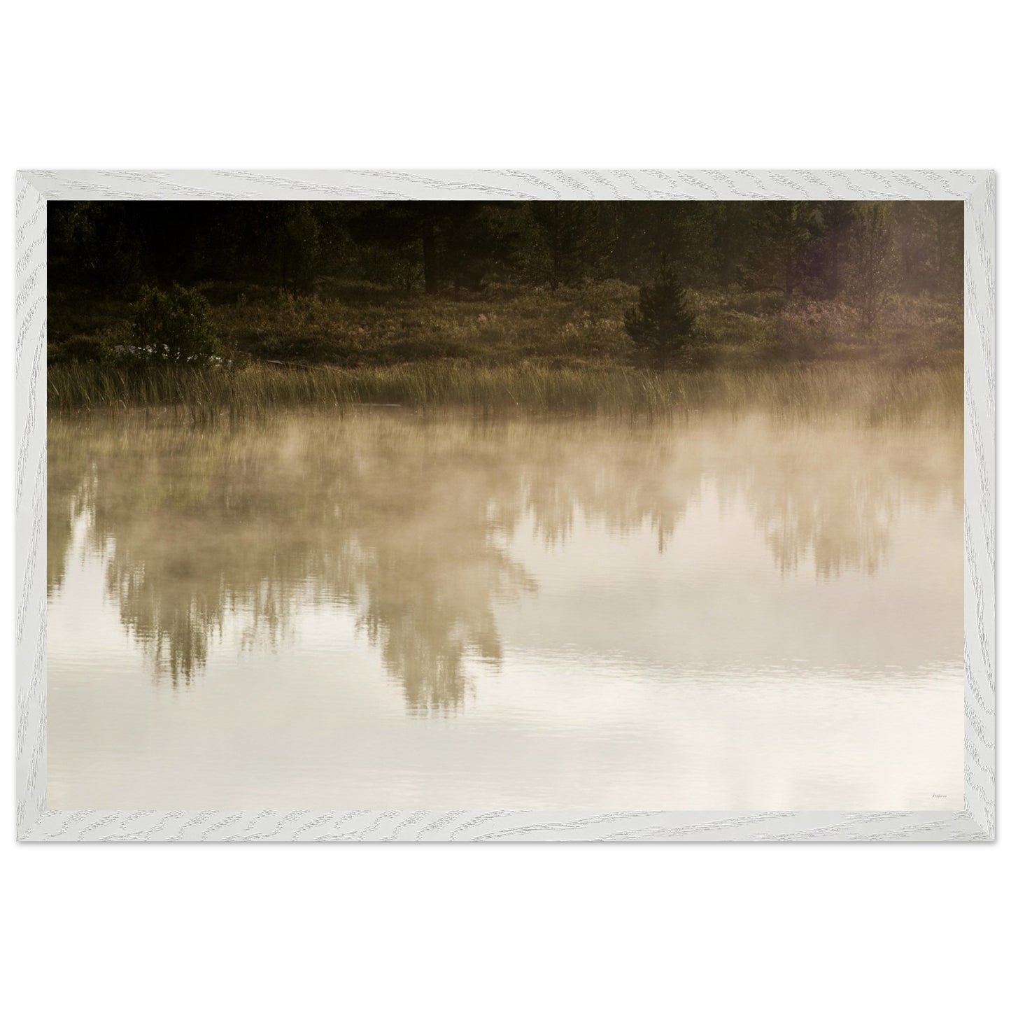 5089670e-93d3-425e-a989-e88fbf0e8243