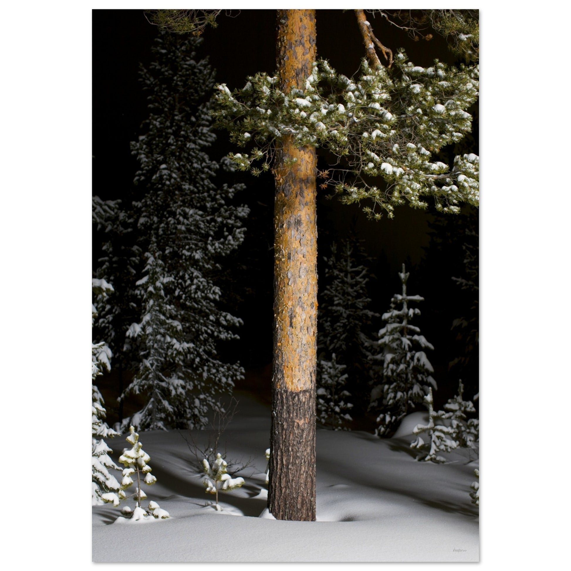 532269d0-2491-448f-8c63-068e4975f9f5