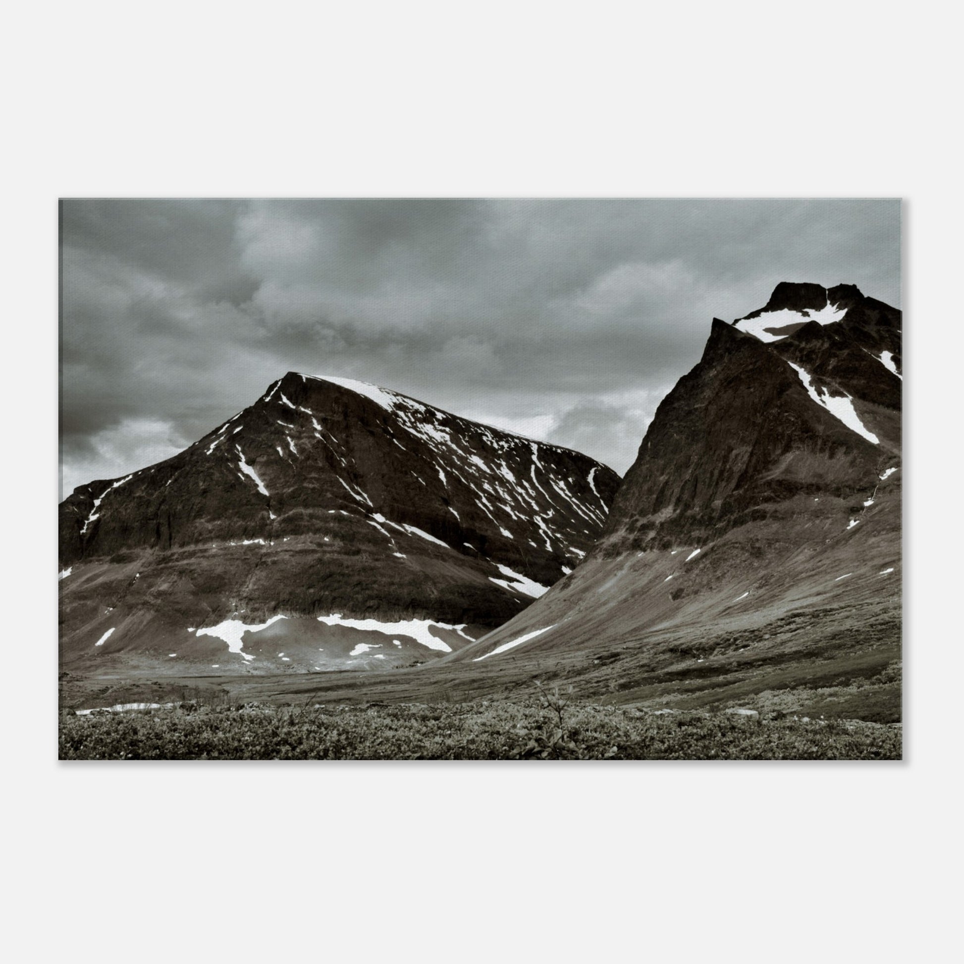 53923753-7fcc-456f-a961-c237b38070a2