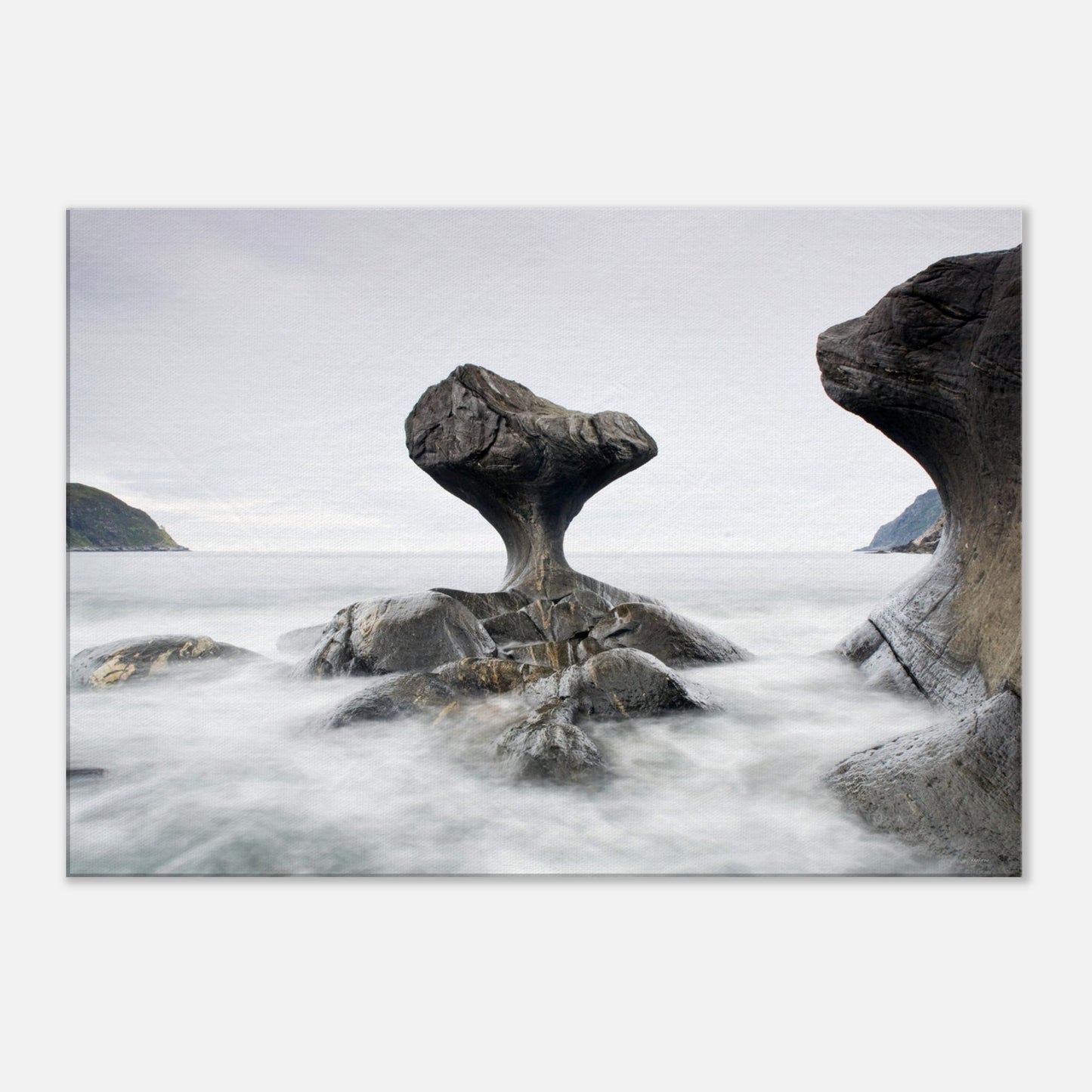 547c6bbd-e1d5-4851-bdfa-04ab82243c04