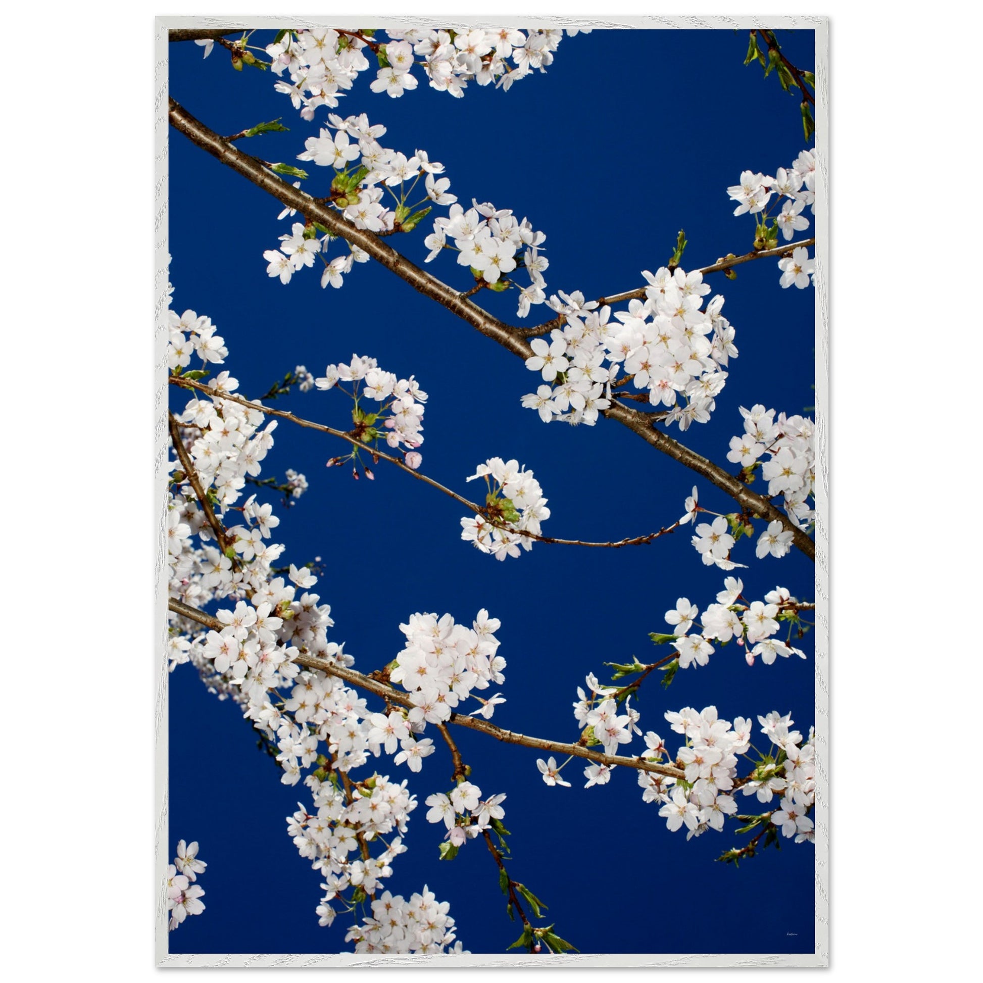 547ed95d-bf18-4c73-9747-e5a33ee4b527