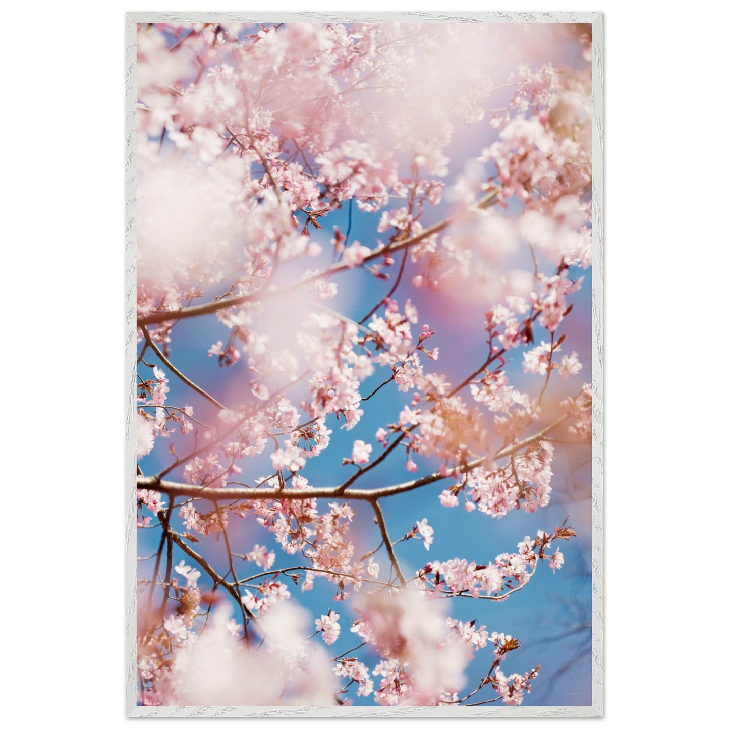 54b1bc40-8c86-4945-9cda-6b0e3ecaac05