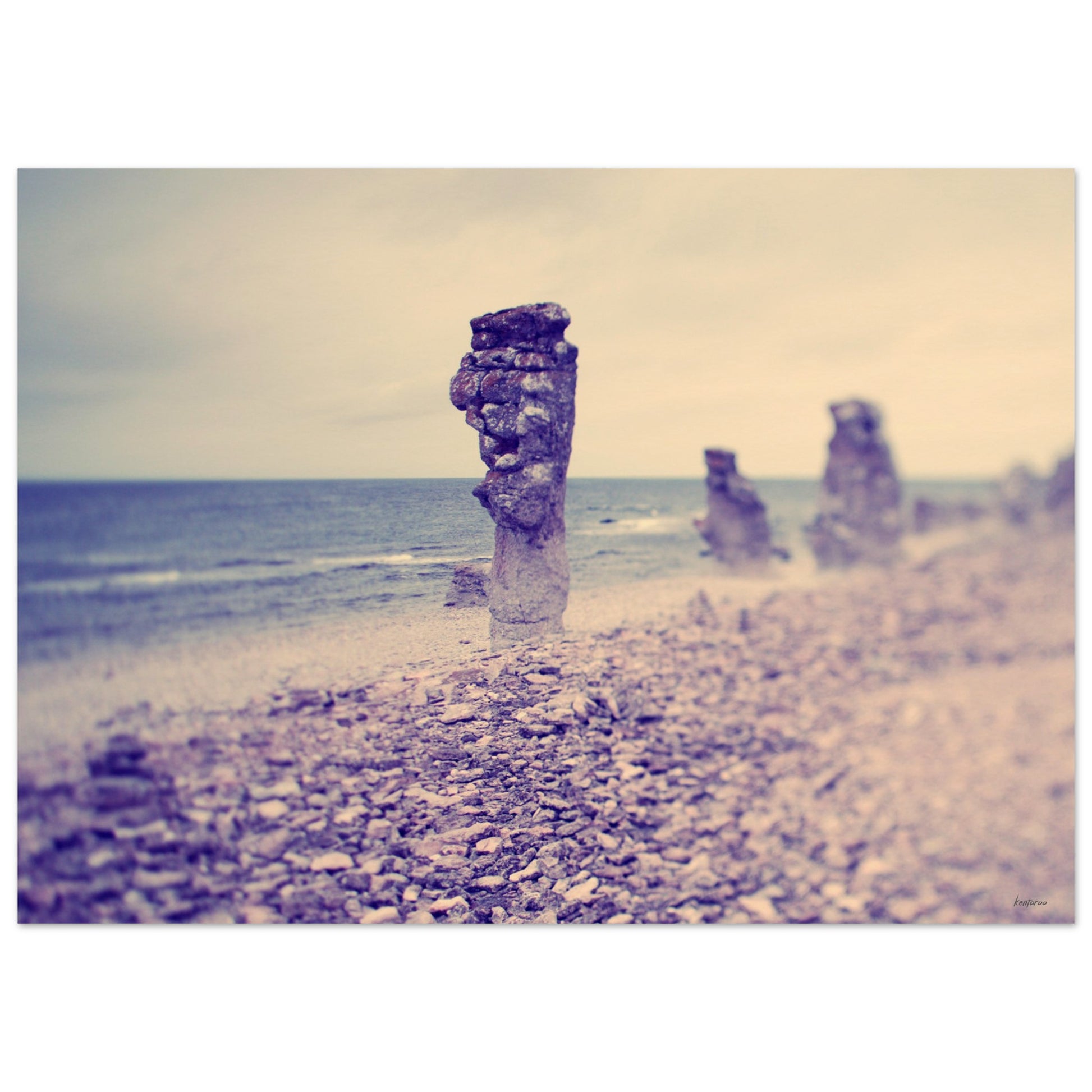 54c03fd3-dba1-419e-b822-4c91b3f49797