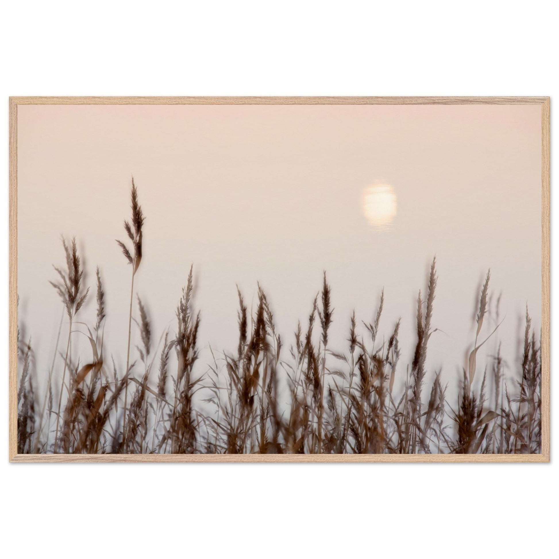 54e01419-fd1b-4941-8cfd-f37a10682a2c