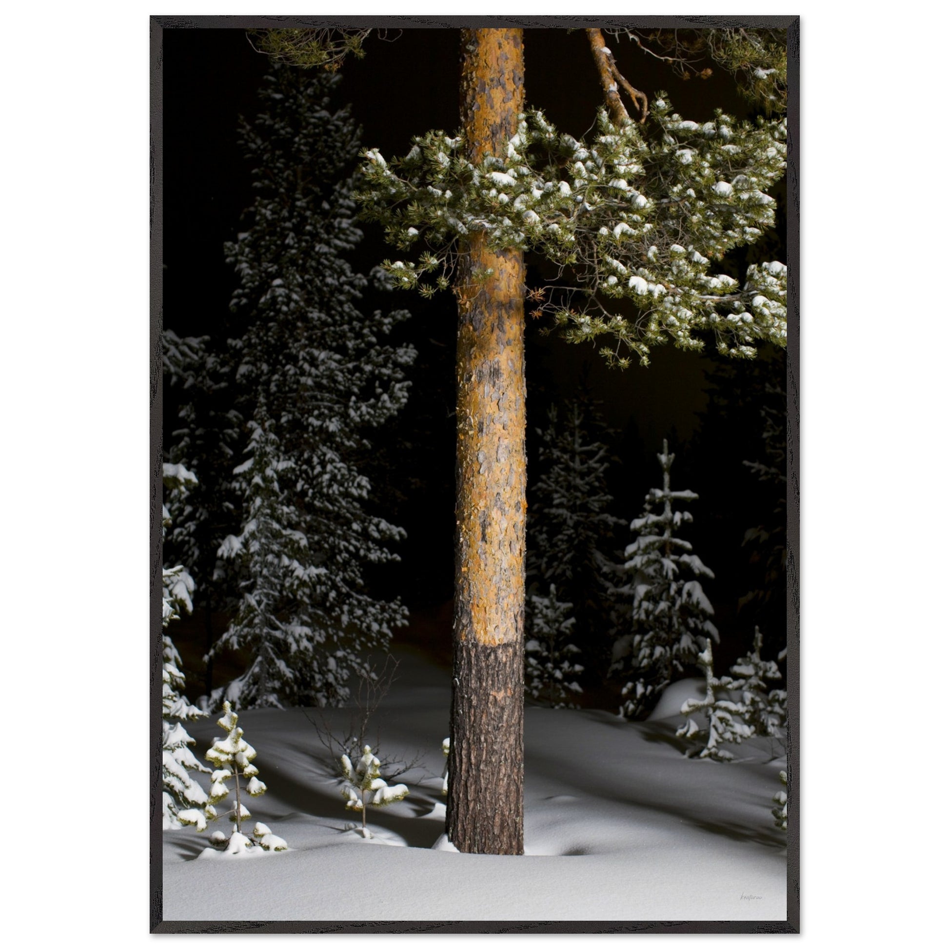 562b94f9-69b4-41ee-ac1d-8190d76a283e