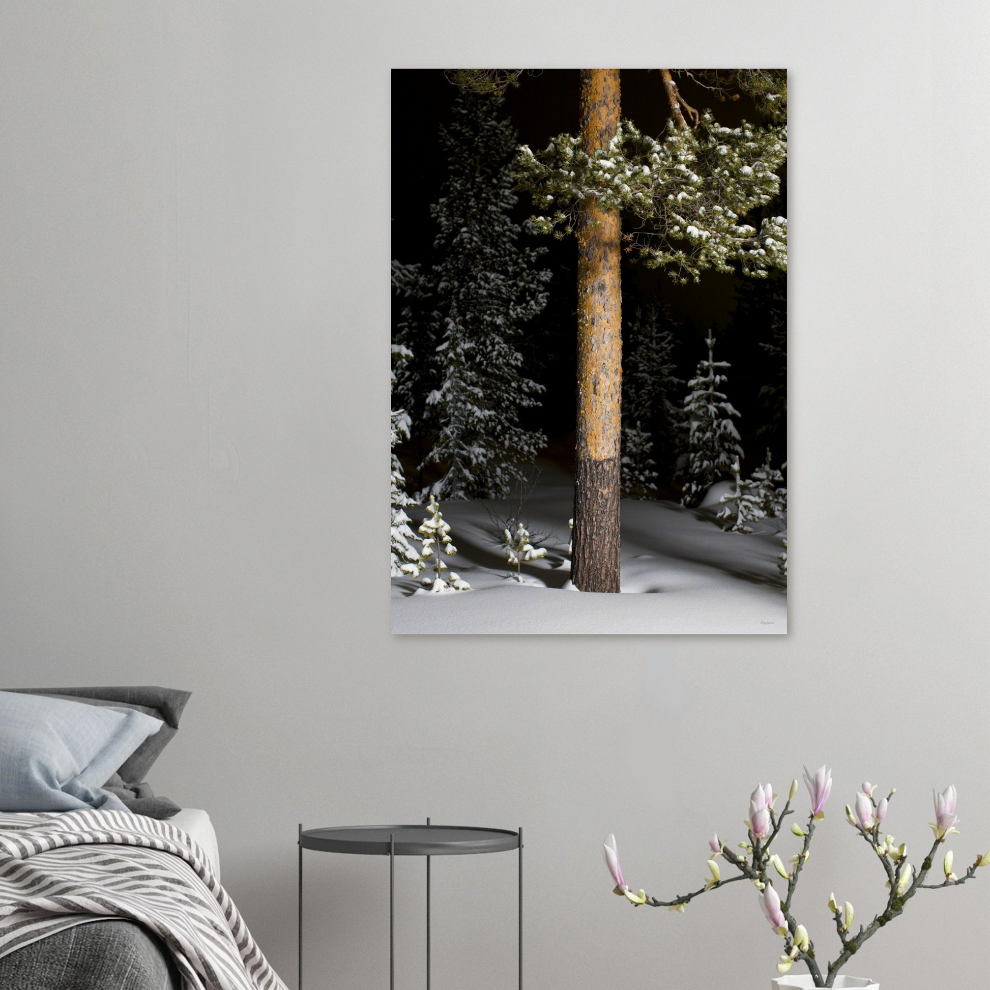 5667a848-83c3-4f01-9a9c-5d3811bcdc14