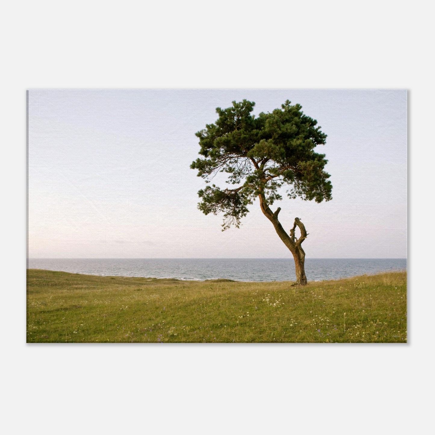 56987e6e-4040-4980-8d34-c14805aa41ad