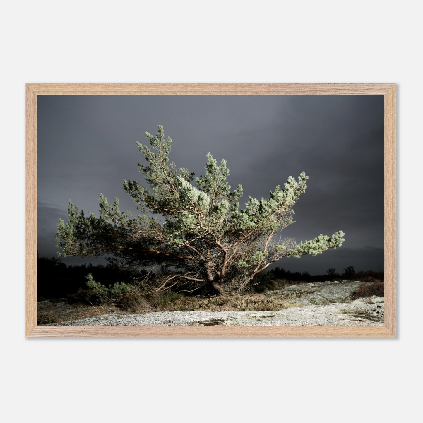 56b9a0ce-7e6c-4b2f-b349-f98b6bbfc24b