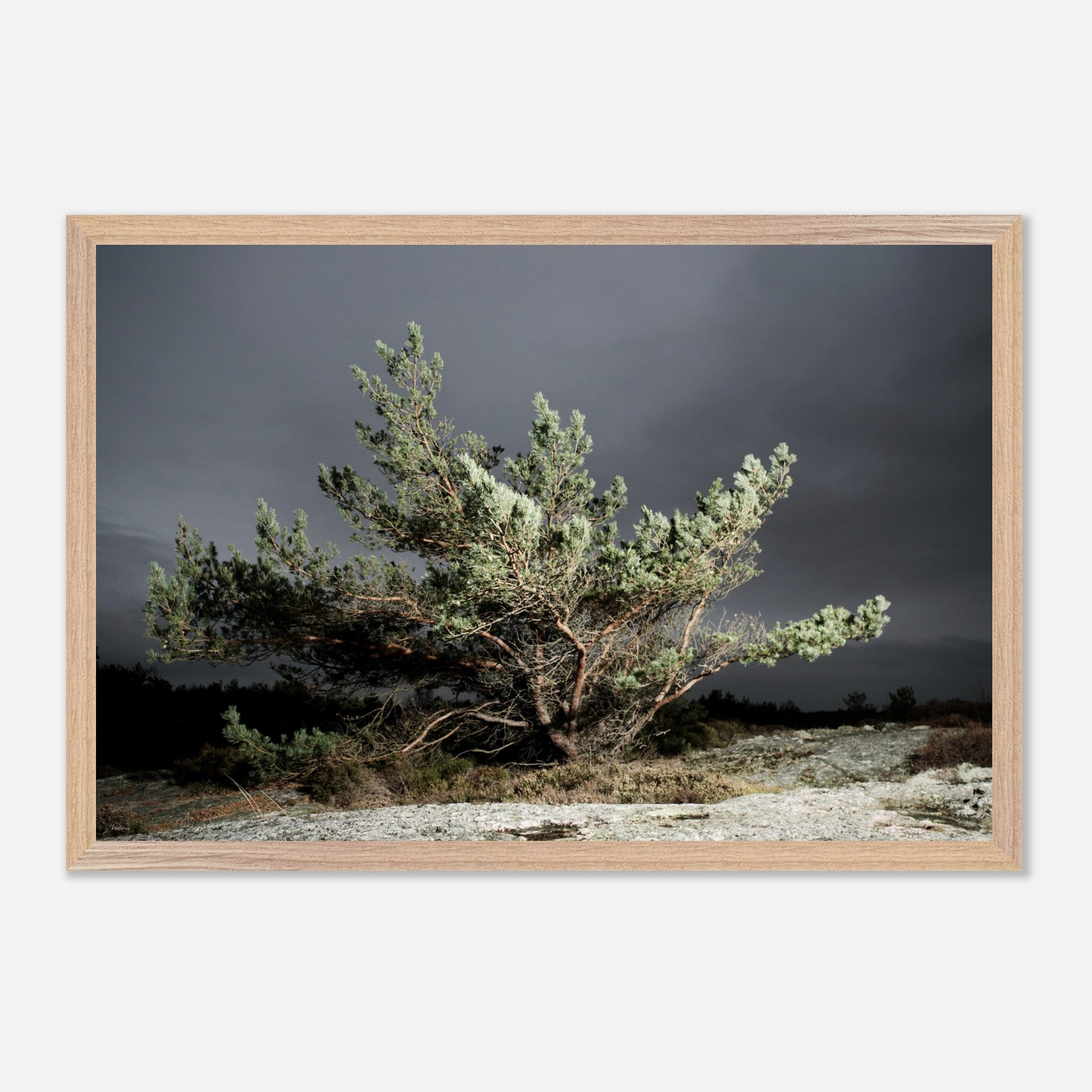 56b9a0ce-7e6c-4b2f-b349-f98b6bbfc24b