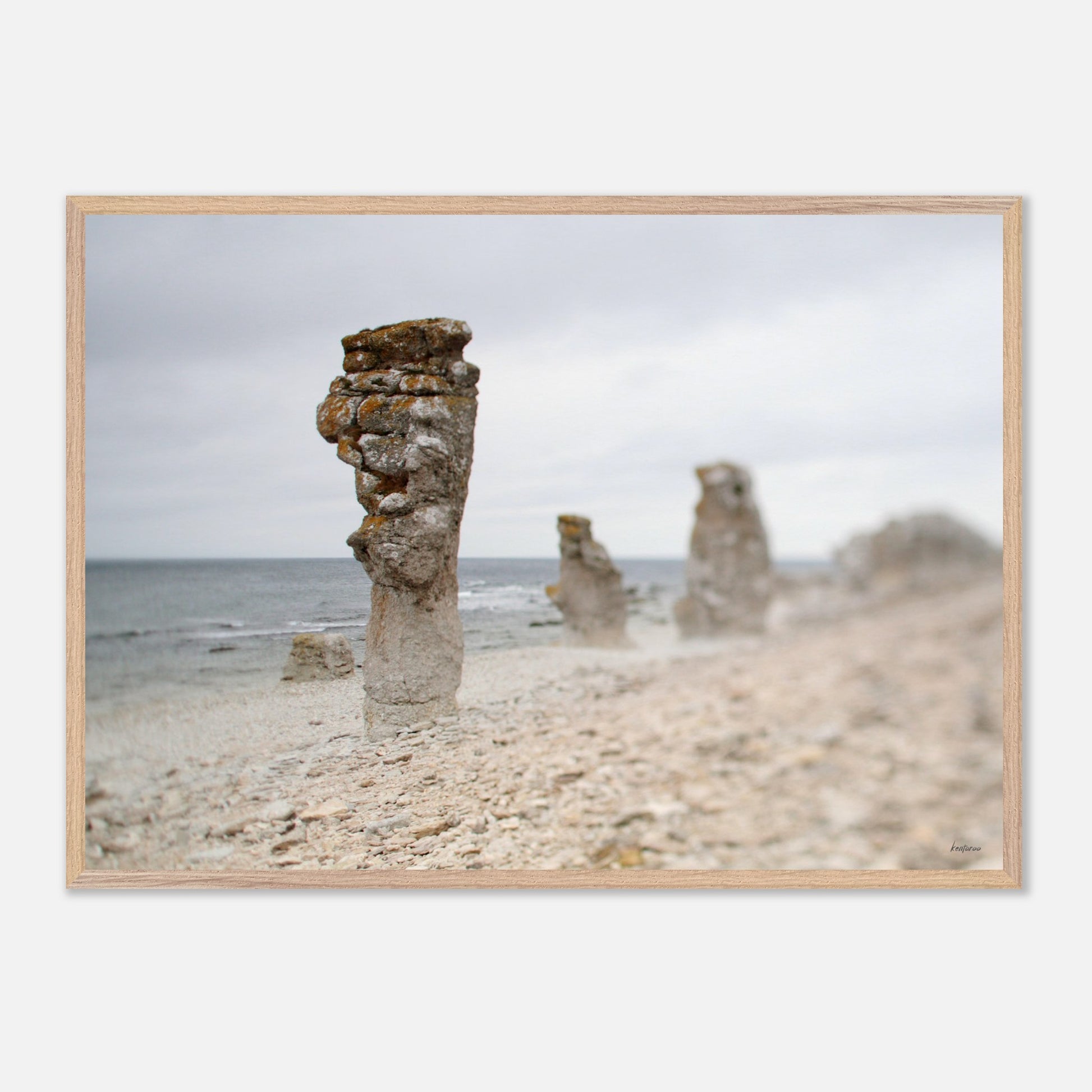 56bbdcd9-1731-4d41-8d59-77b458e7e26b