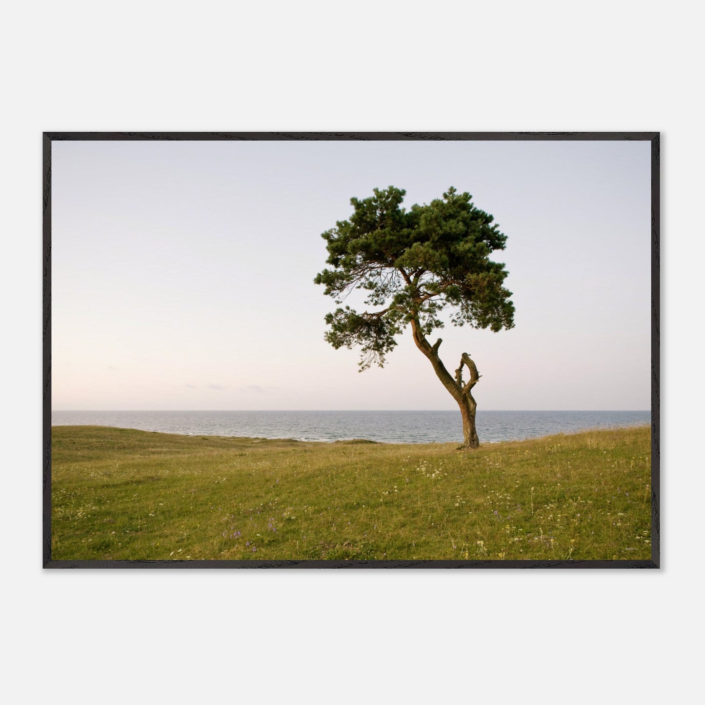 572f30fc-b7e3-4dca-88b0-89c265f5fd04