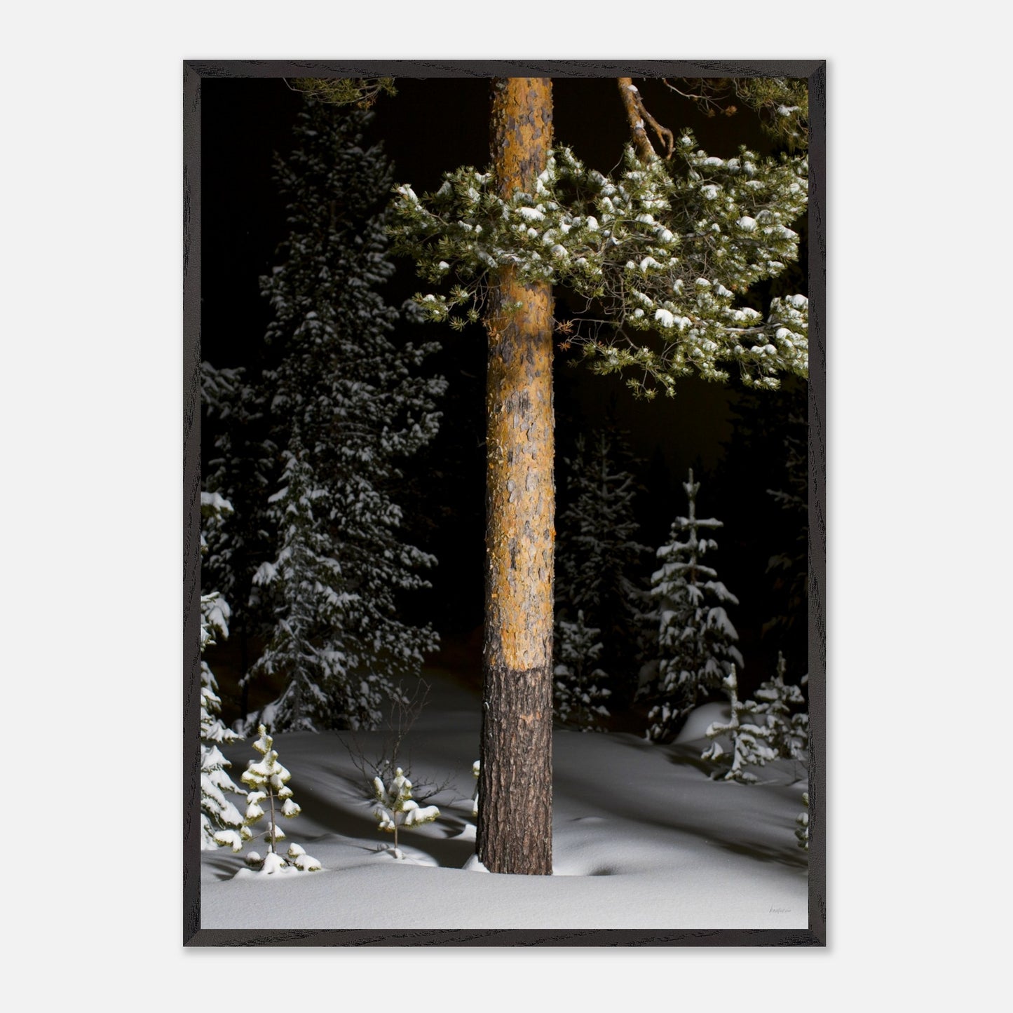 57342c92-0c23-4d74-b872-bf8d6f1913a9