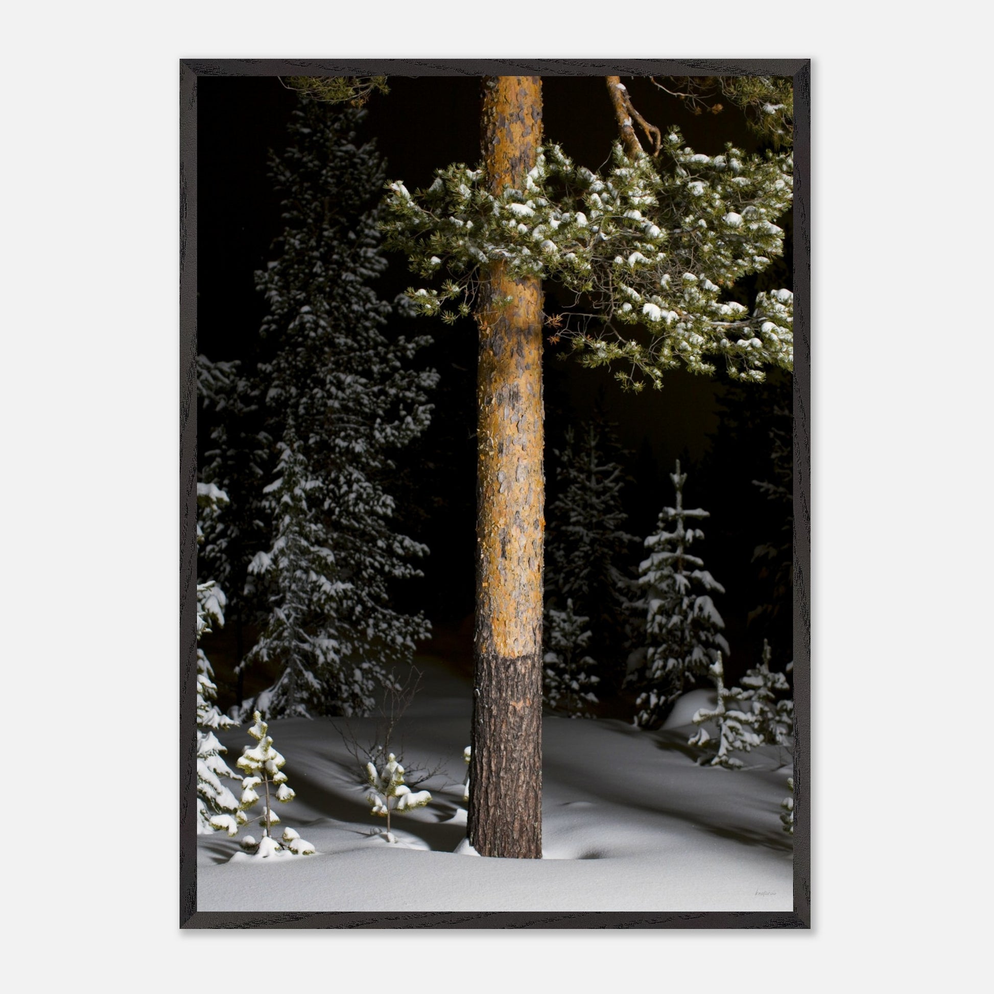 57342c92-0c23-4d74-b872-bf8d6f1913a9