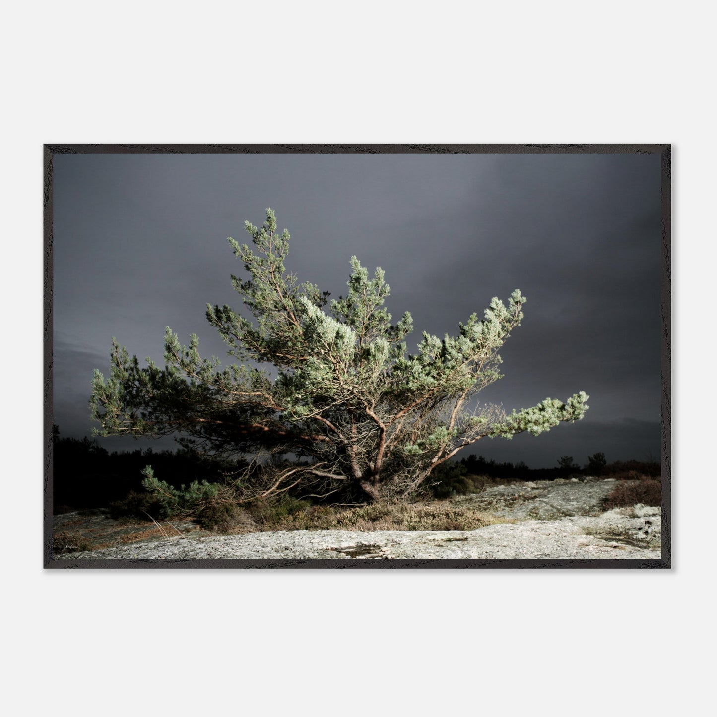 5798a1fe-c090-45b8-9de9-ea8160c4fe6e