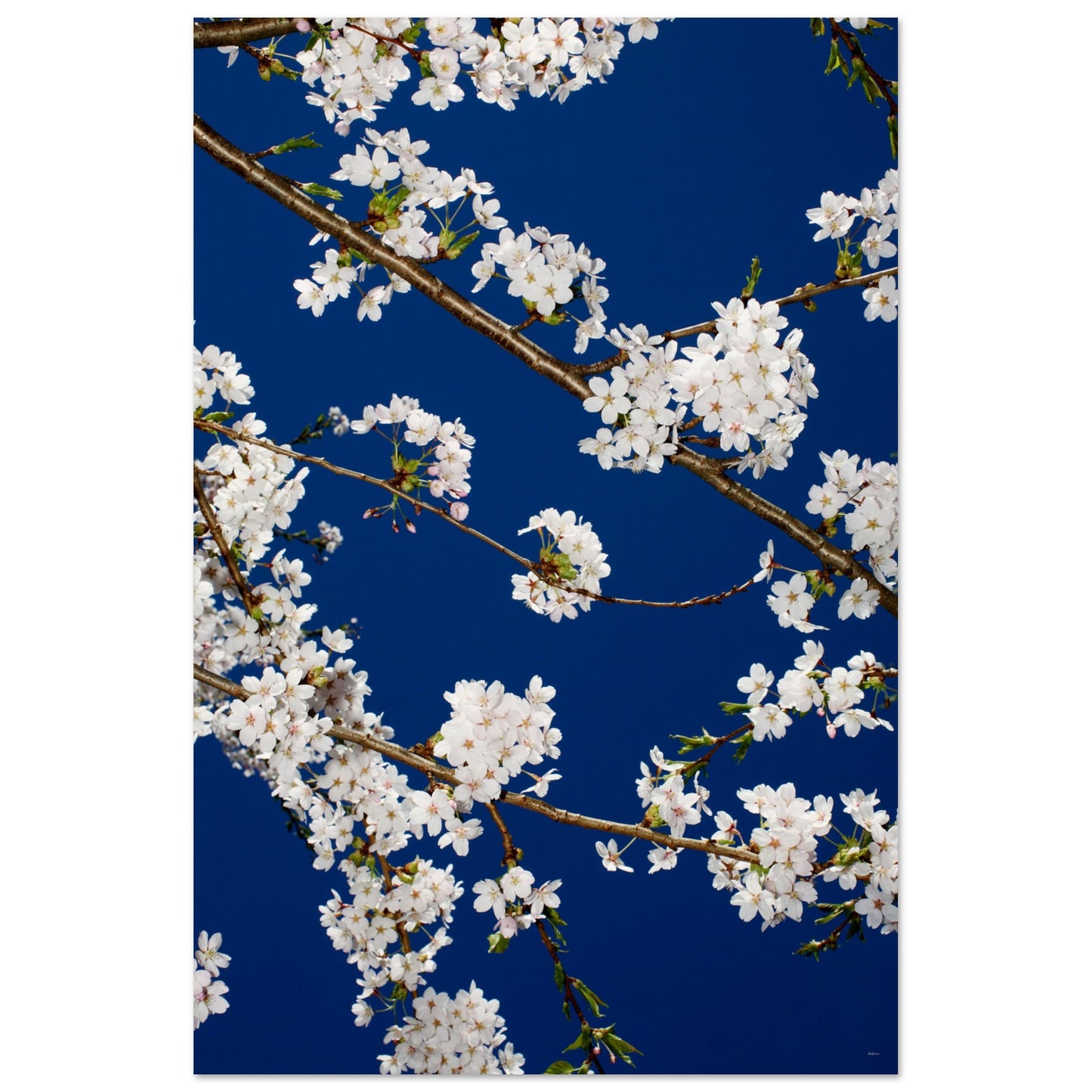 5c0d723f-fcf2-49c1-abe5-89e2fcfe9ca1