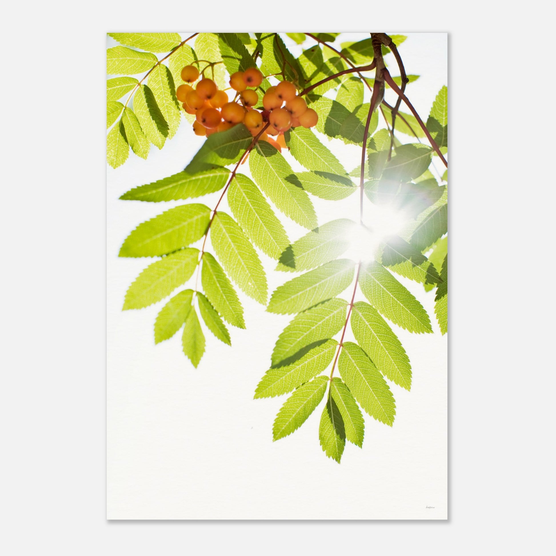 5c0f3481-04ce-44ac-bb70-aab304b510b4