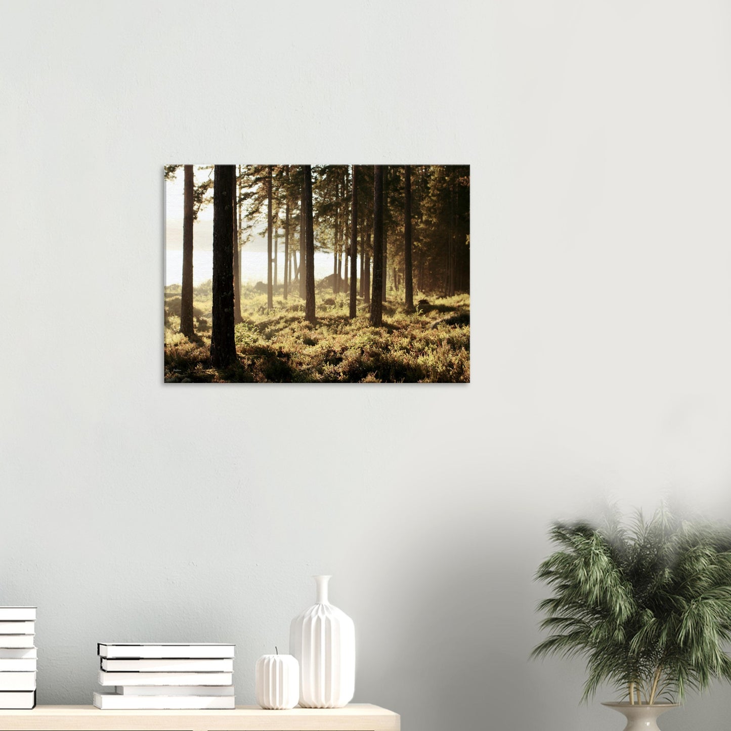 5c58dbd5-645e-45bc-a453-4dc36ab726b7