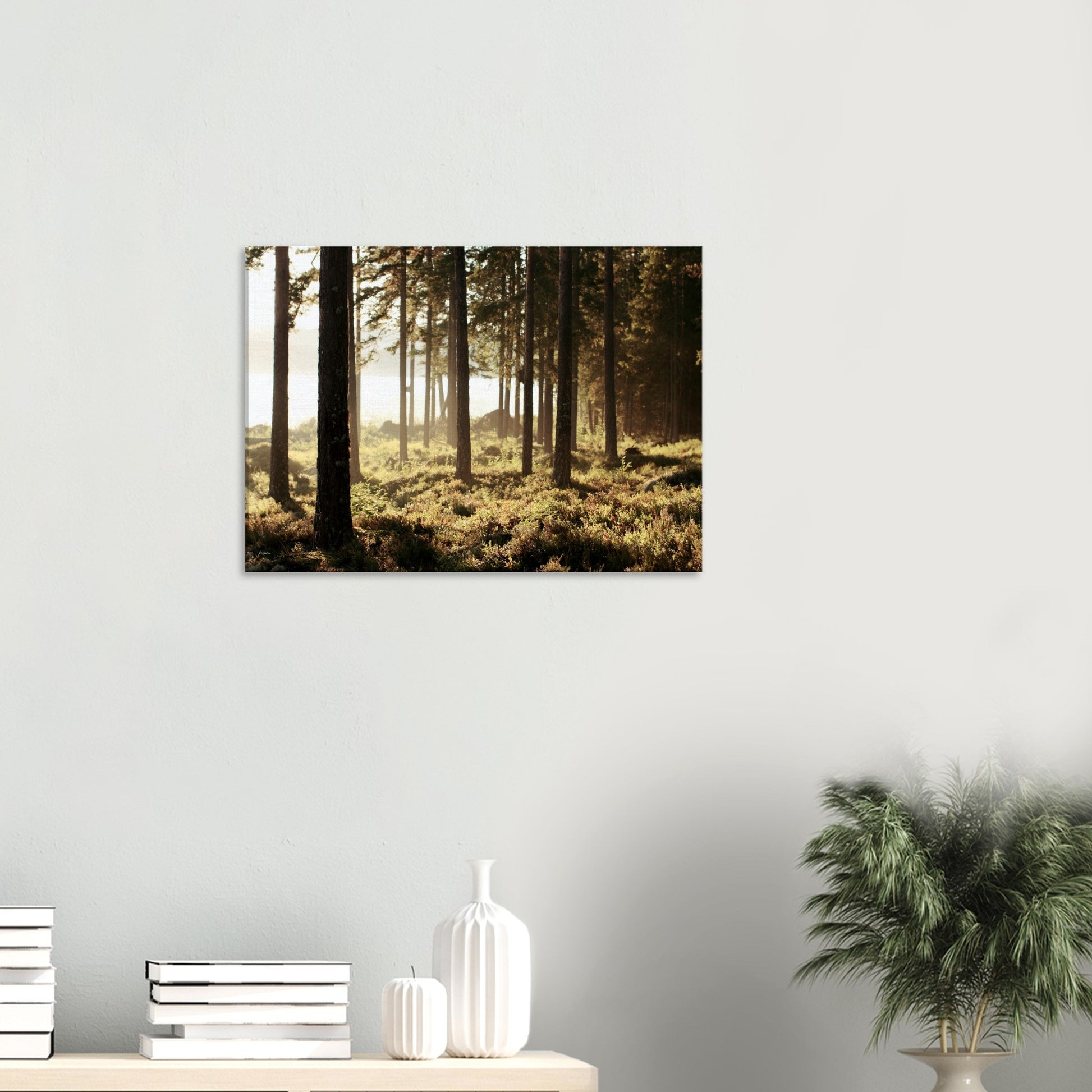 5c58dbd5-645e-45bc-a453-4dc36ab726b7