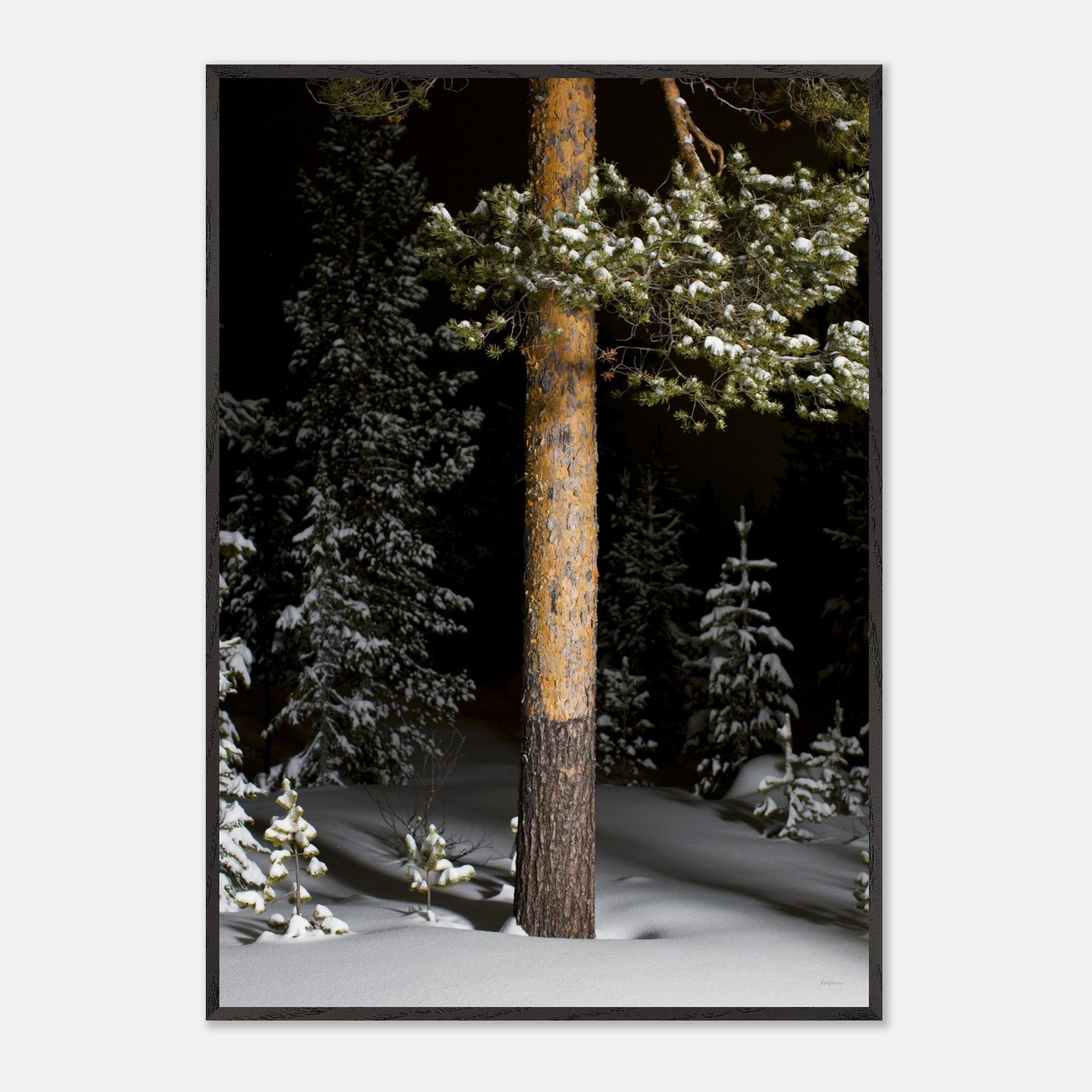 5c5d3294-fd6e-41e3-84bb-cb73a4f93c89