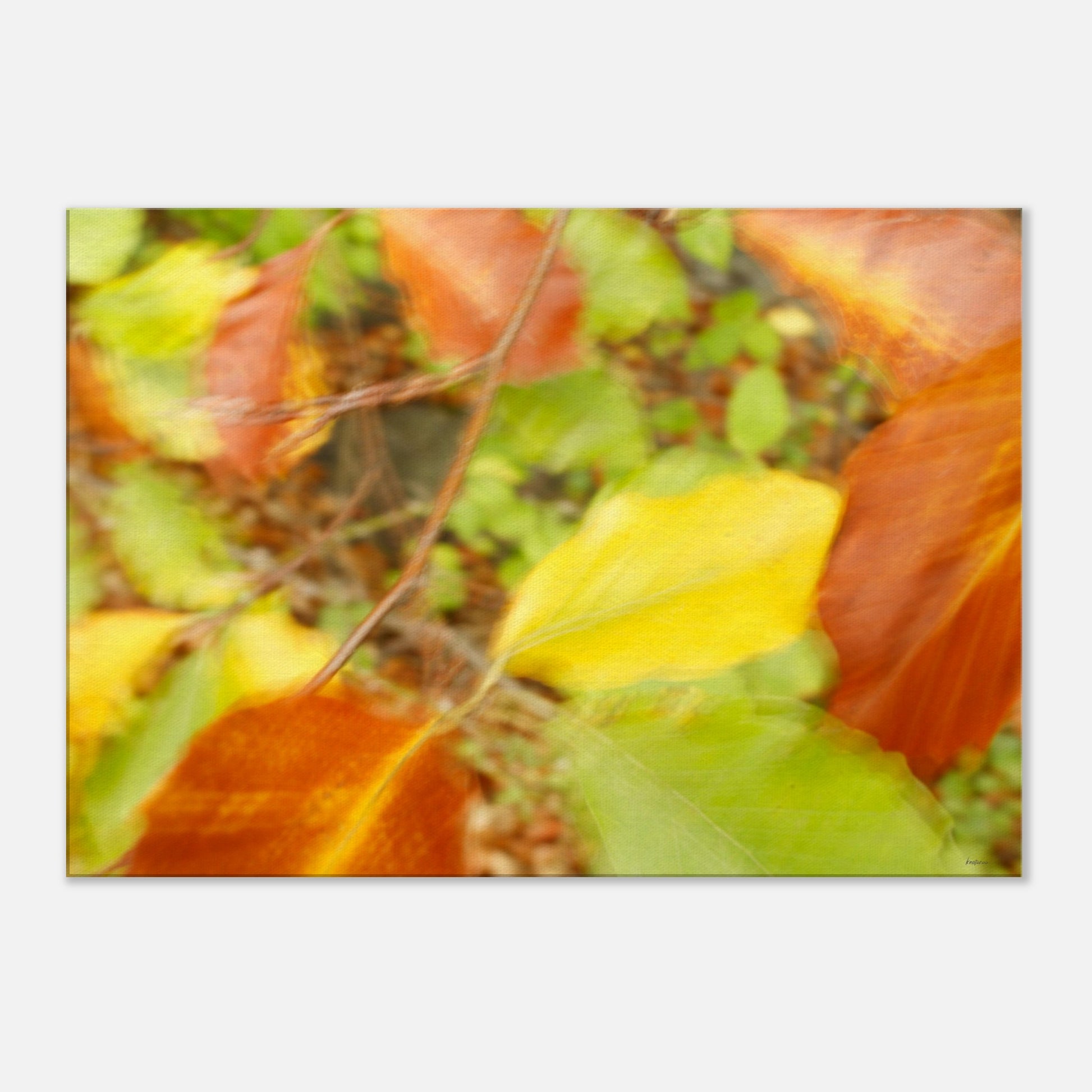 5ffe6f78-c6f5-40fa-b54b-41d6e110f3a7