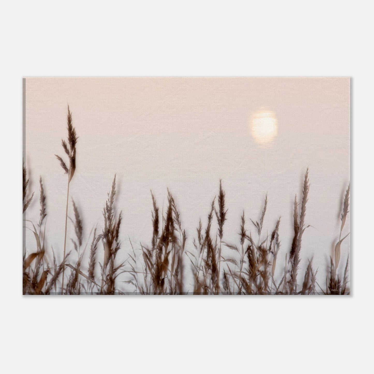 6047de05-0084-4393-a3d6-6eb3ebe2285f